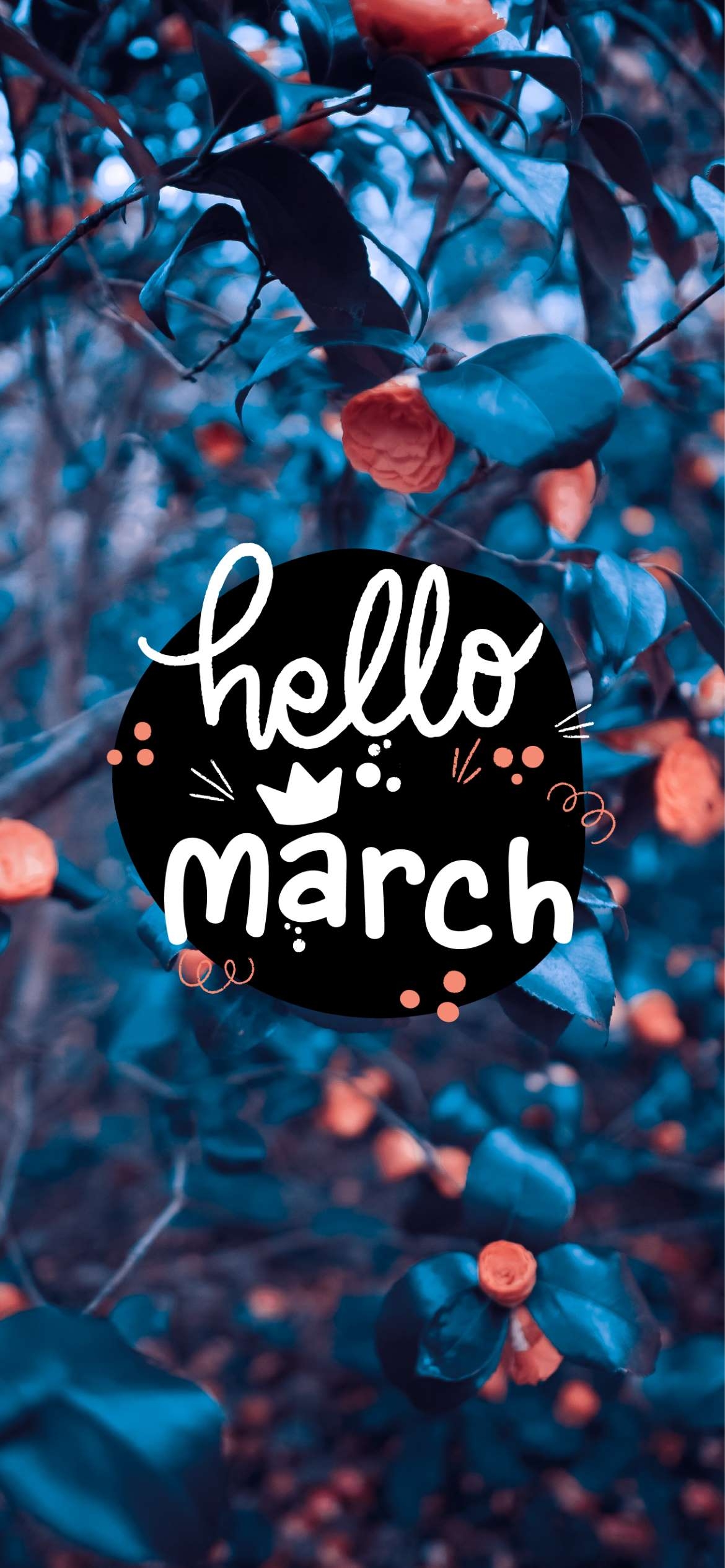 1170x2540 Hello March Aesthetic Wallpaper For Your Phone This Spring, Phone