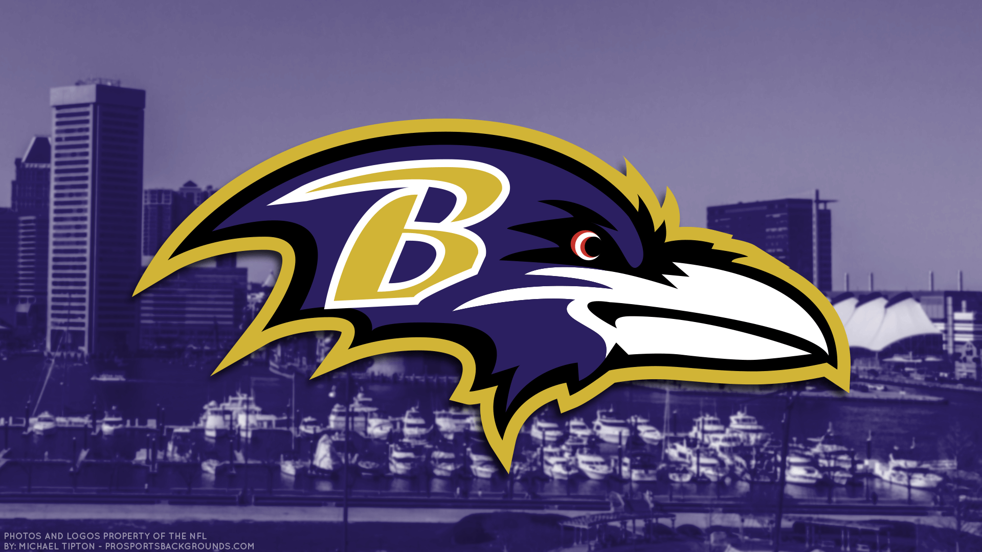 1920x1080 baltimore ravens wallpaper, Desktop