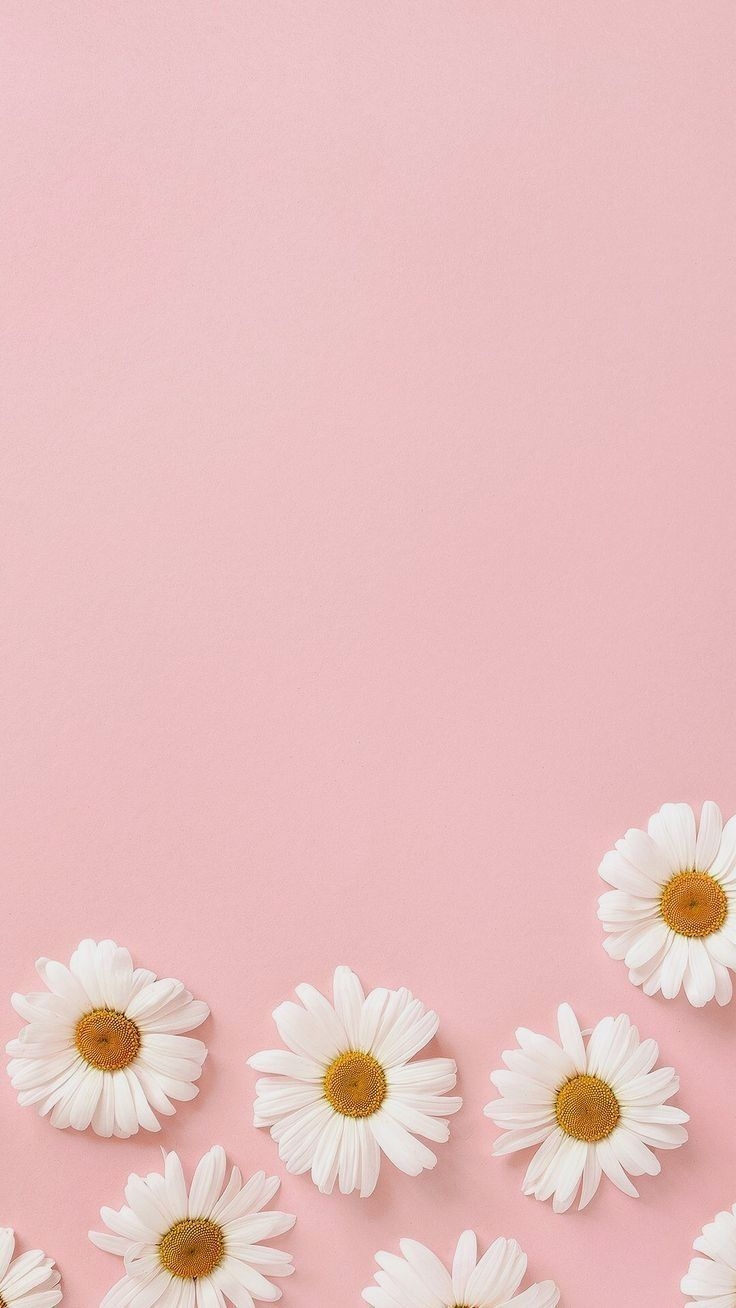 740x1310 Pastel Pink Wallpaper, Phone