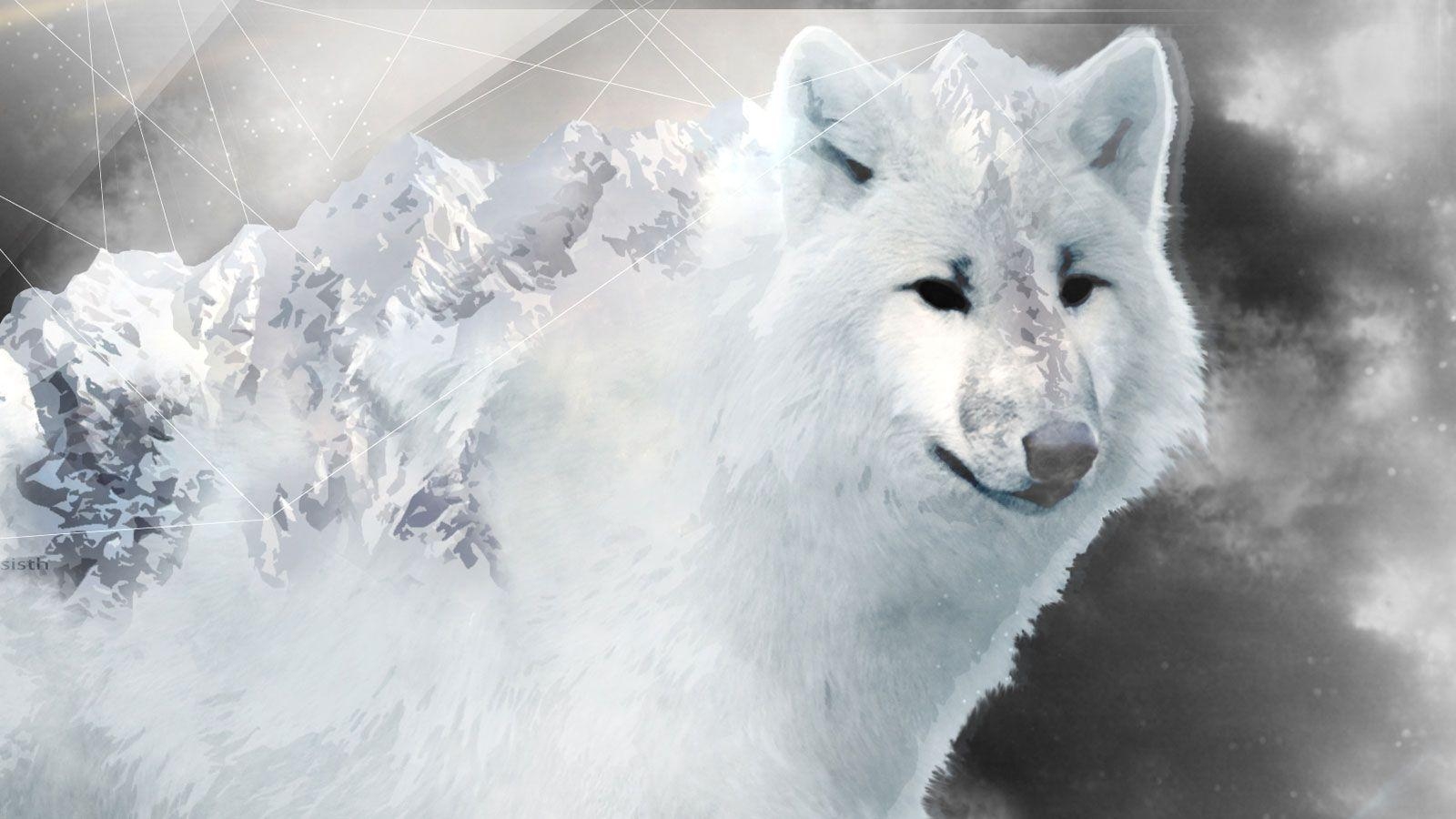 1600x900 Winter Wolf Wallpaper, Desktop