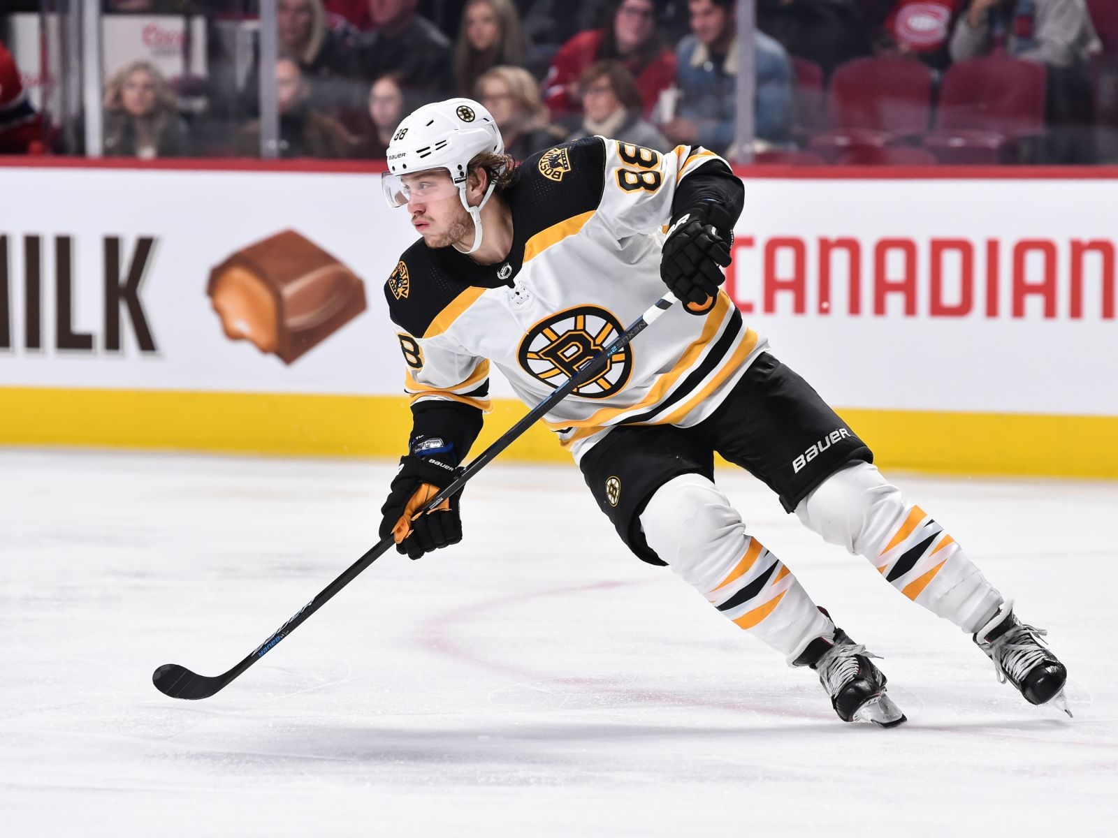 1600x1200 Boston Bruins: David Pastrnak hasn't missed a step, Desktop