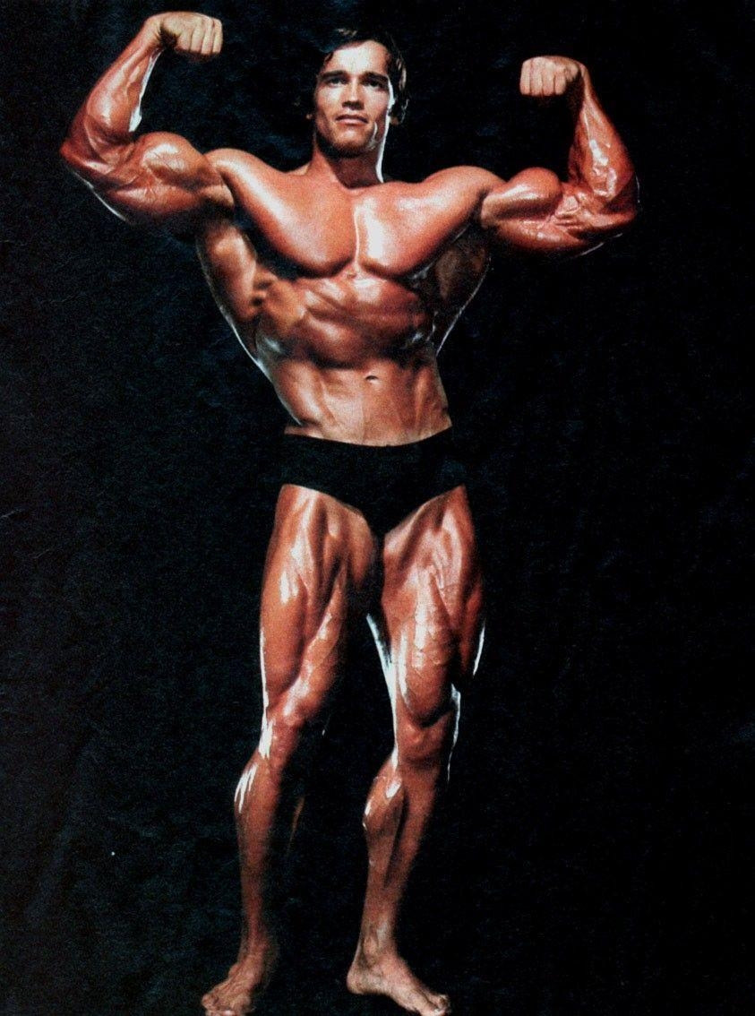 850x1140 Download Arnold Schwarzenegger Body Builder Wallpaper HD FREE, Phone