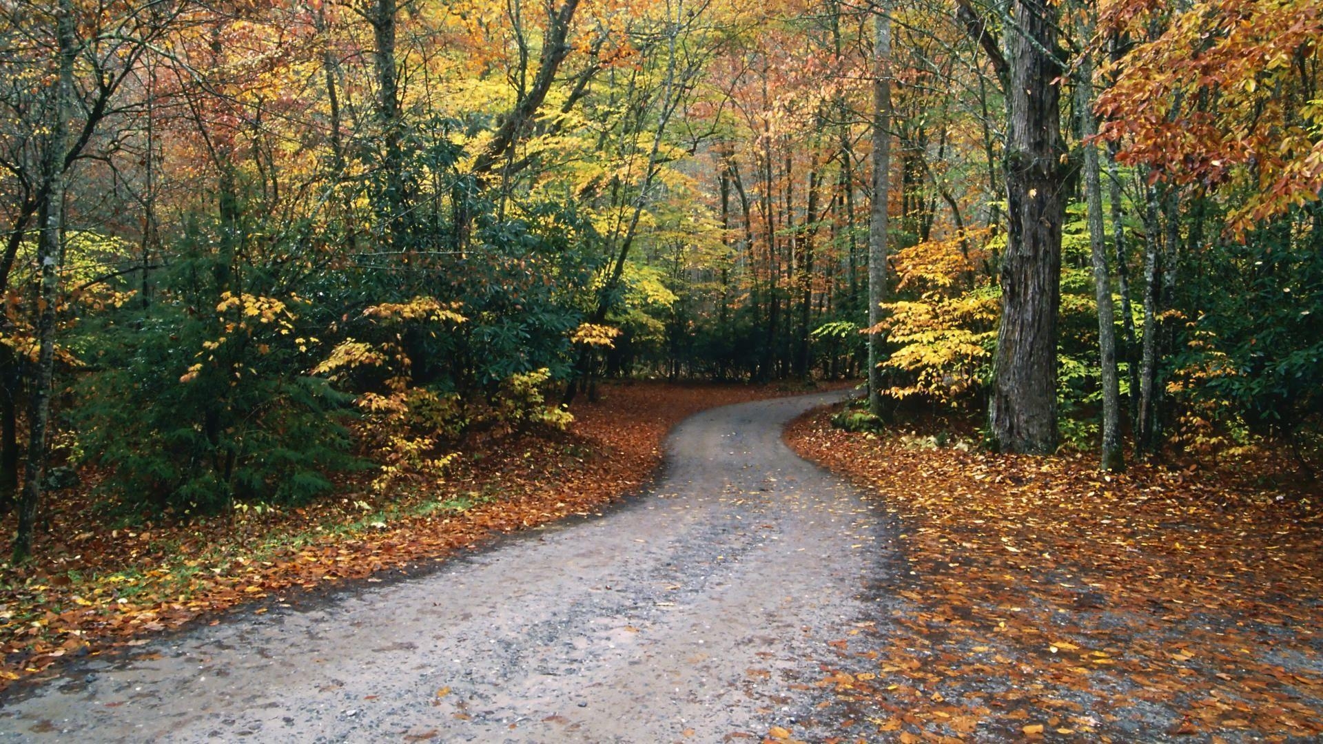 1920x1080 North Carolina Wallpaper for Computer, Desktop