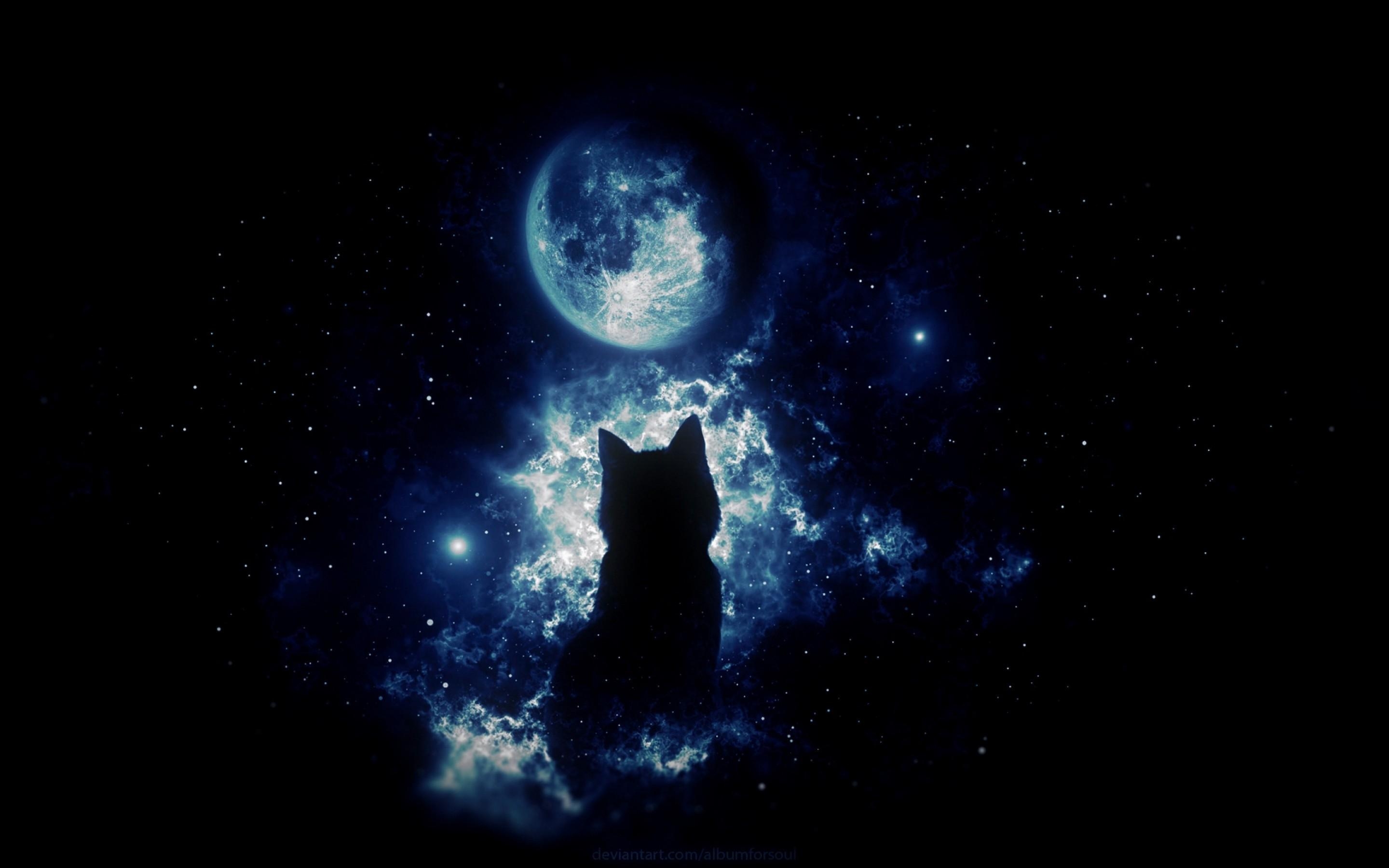 2880x1800 Anime cat staring at the moon HD Wallpaper 15 Retina, Desktop