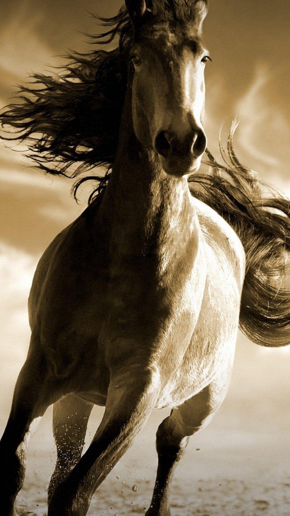 950x1690 Running Horse 4K Ultra HD Mobile Wallpaper, Phone