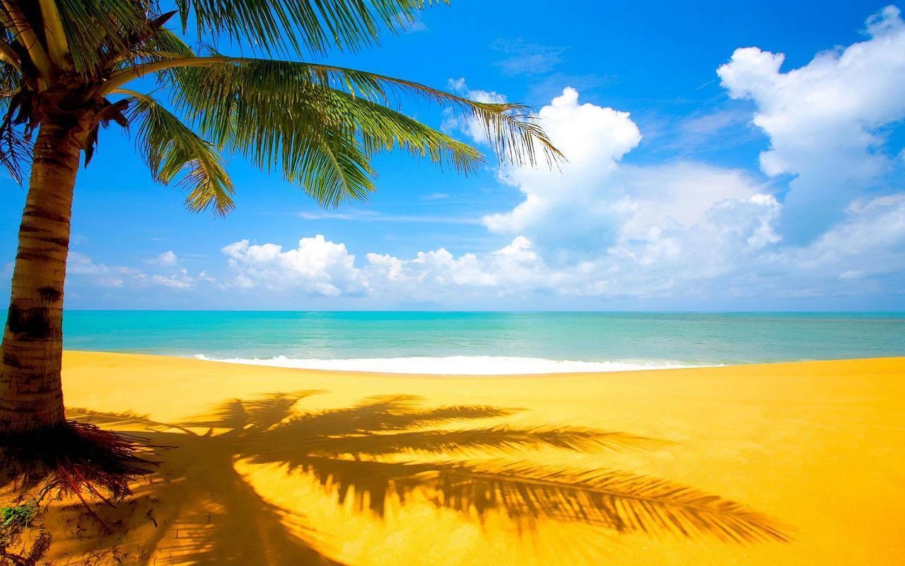 1280x800 Sandy Beach Wallpaper HD Apps on Google Play, Desktop