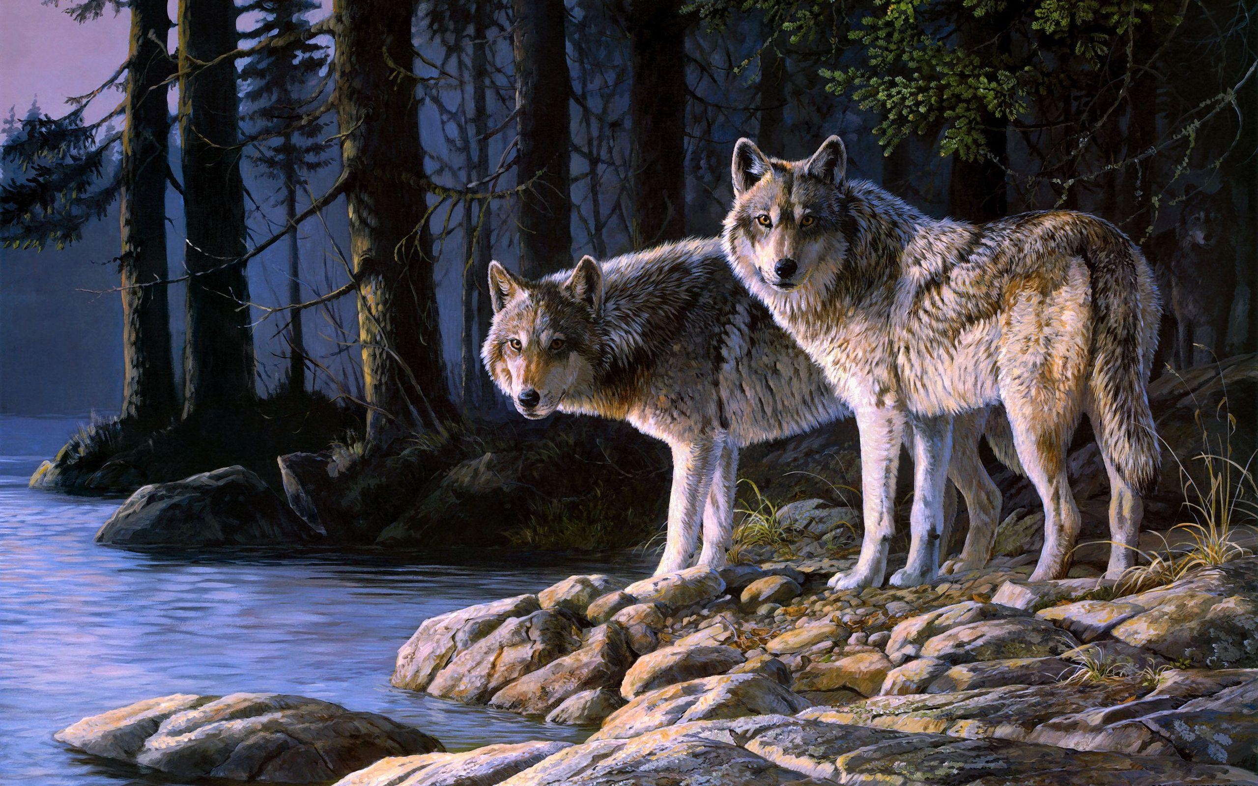 2560x1600 Wolf Pack Wallpaper Gallery (84 Plus) PIC WPW5011447, Desktop