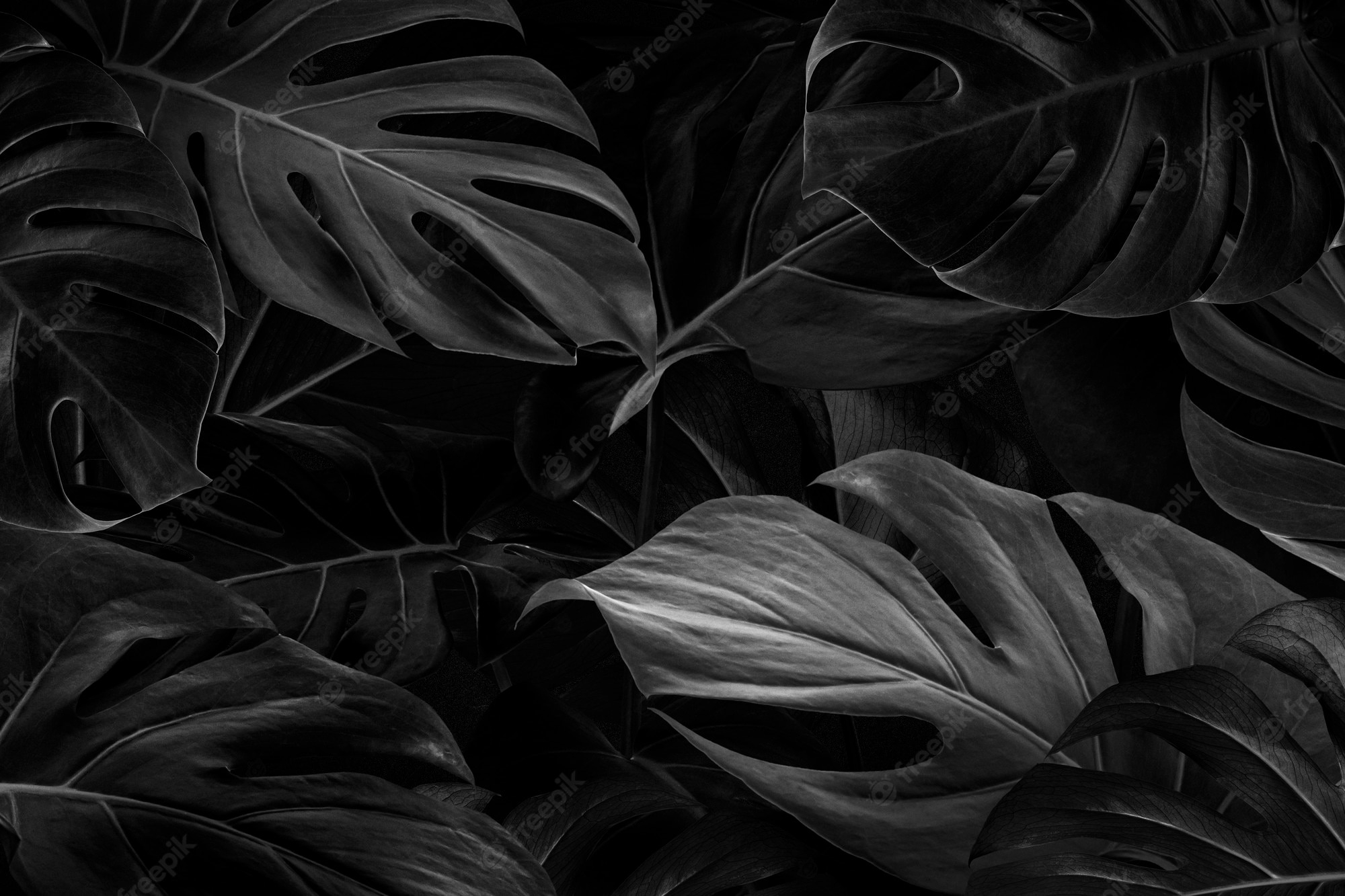 2000x1340 Black Background Image. Free Vectors, & PSD, Desktop