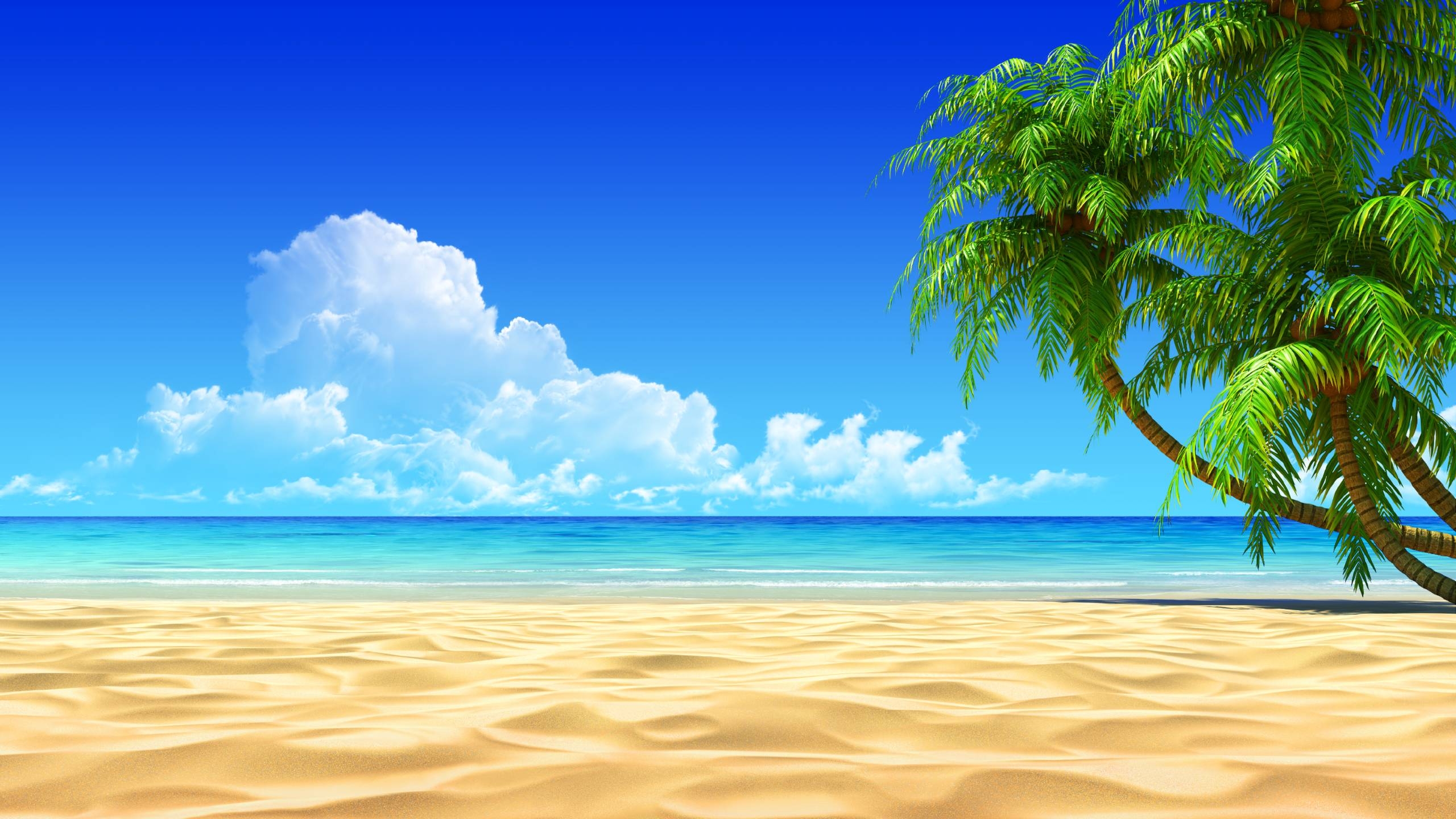 2560x1440 Free Tropical Beach Wallpaper Background, Desktop