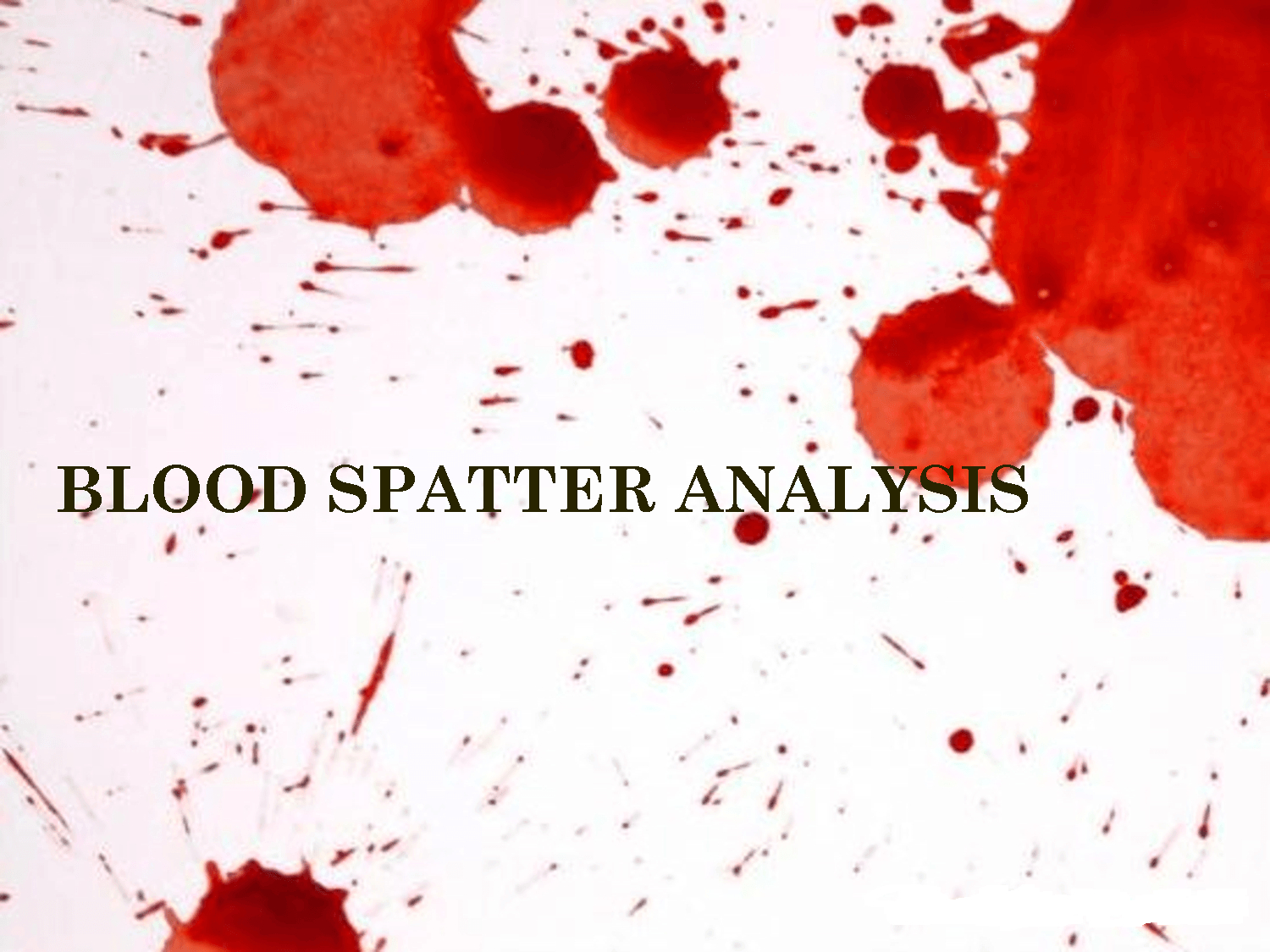 1500x1130 Forensics Blood/ Blood Spatter Project, Desktop