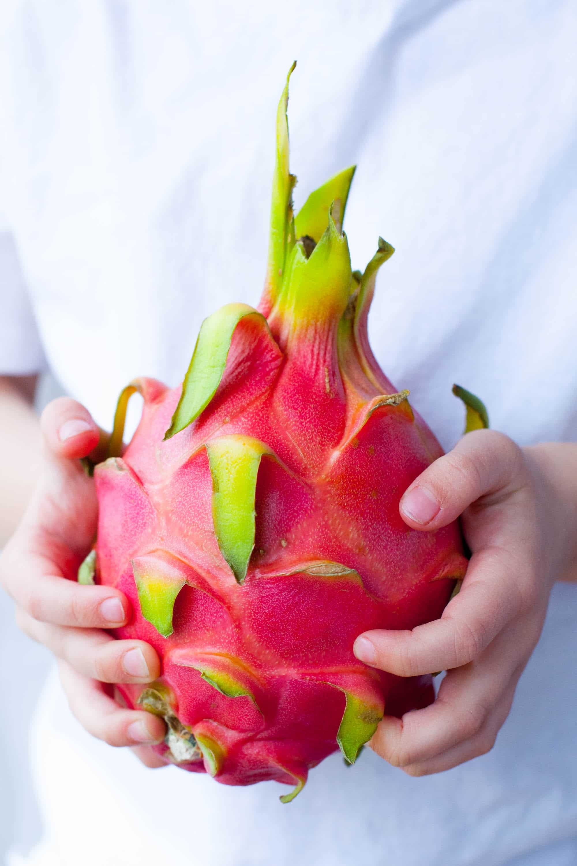 2000x3000 Dragon Fruit Wallpaper, Phone