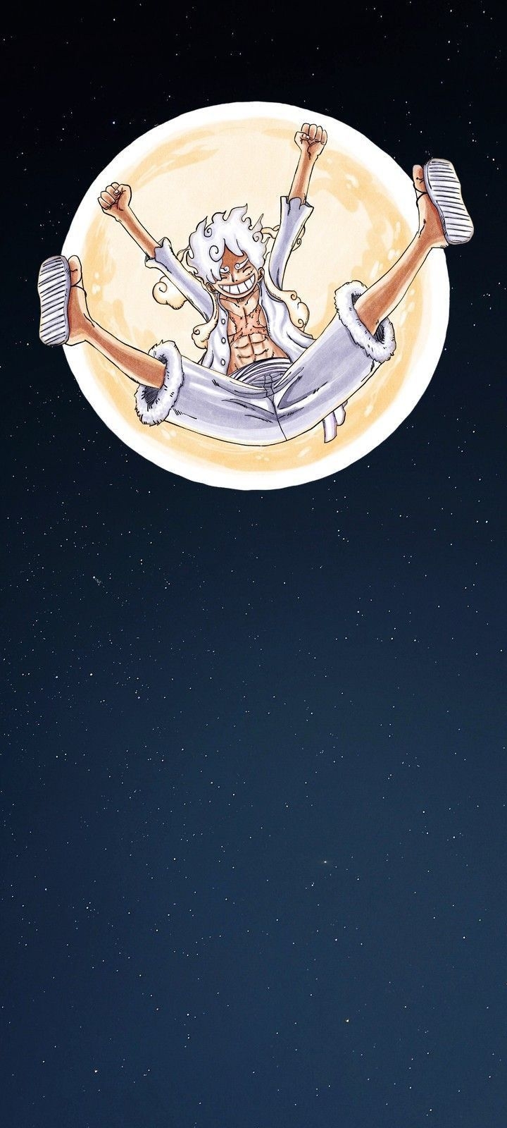 720x1600 LUFFY ONE PIECE SCREENLOCK. One piece, Phone