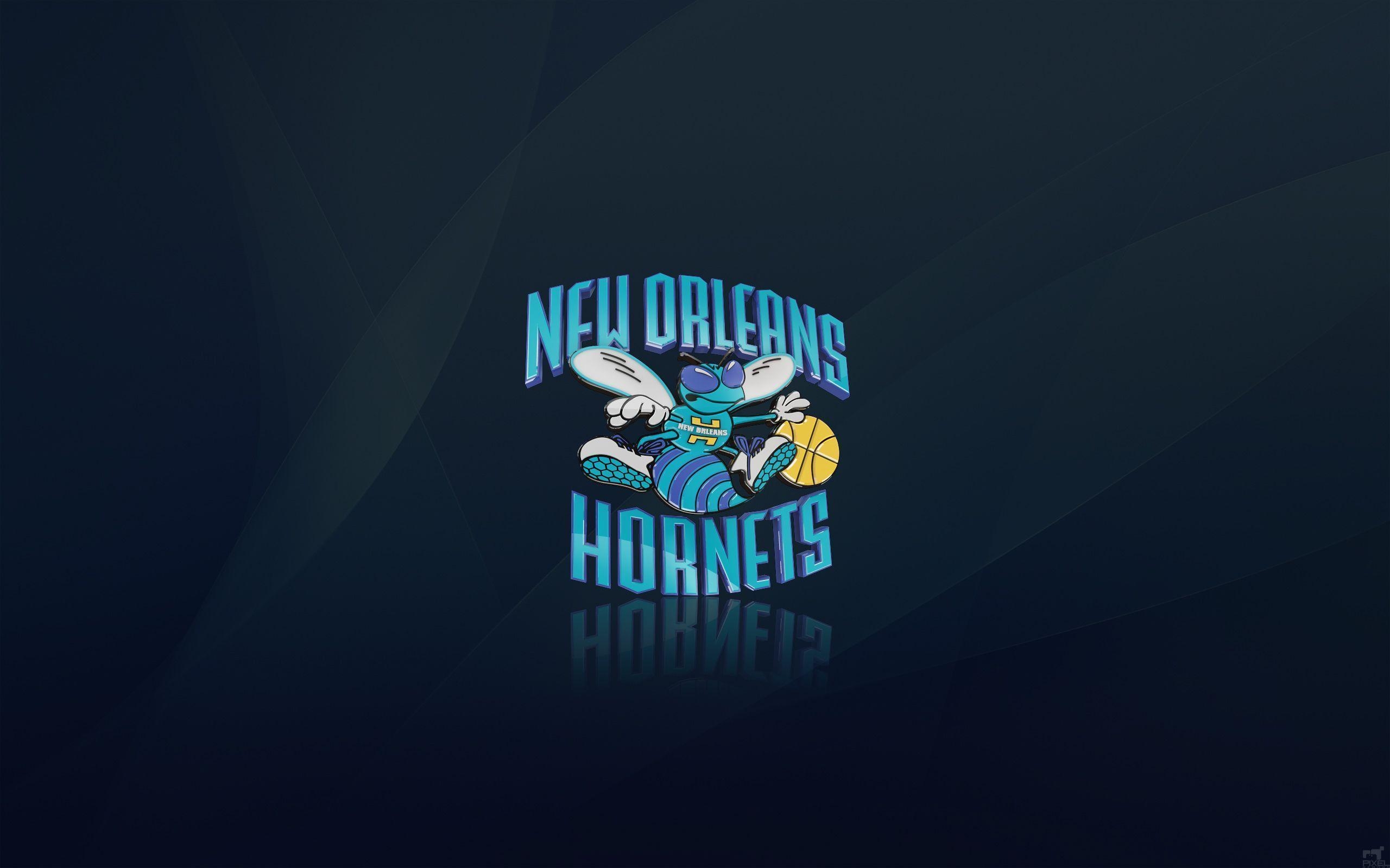 2560x1600 Charlotte Hornets Wallpaper HD Wallpaper, Desktop