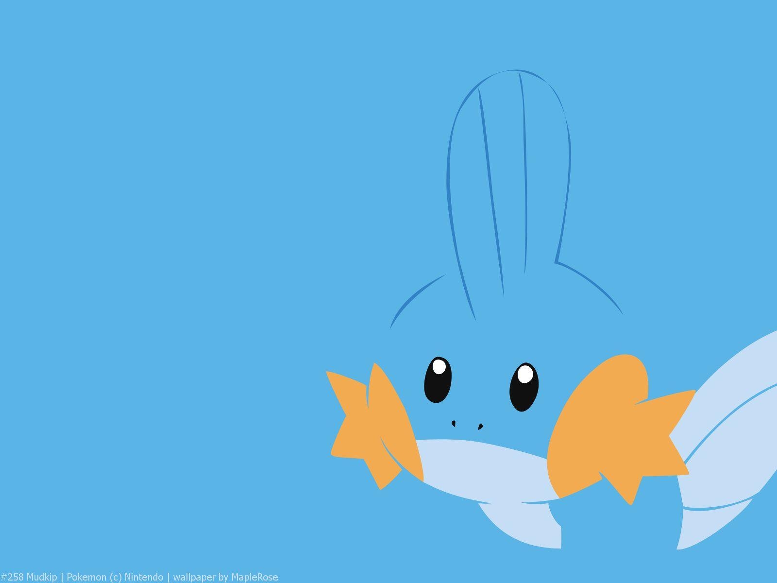 1600x1200 Mudkip Background, Desktop