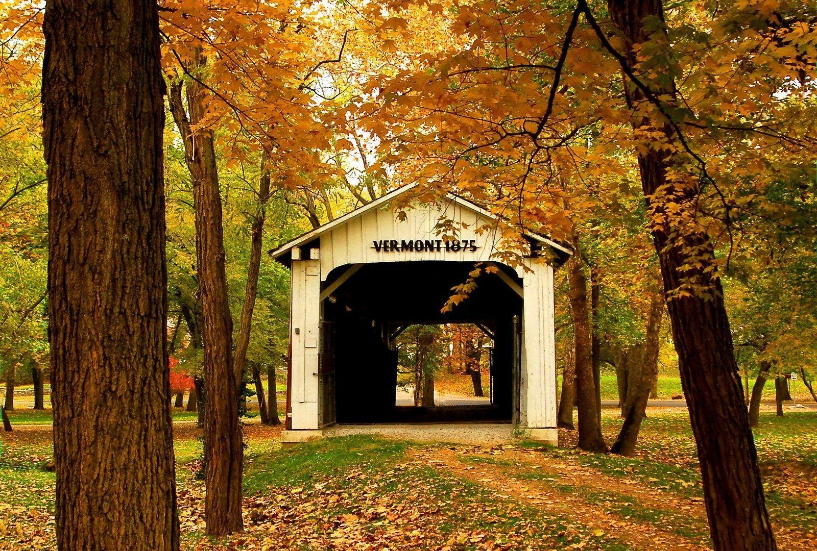 1600x1080 Vermont Bridge Serenity Patyh America Forest Branches Park Calm, Desktop