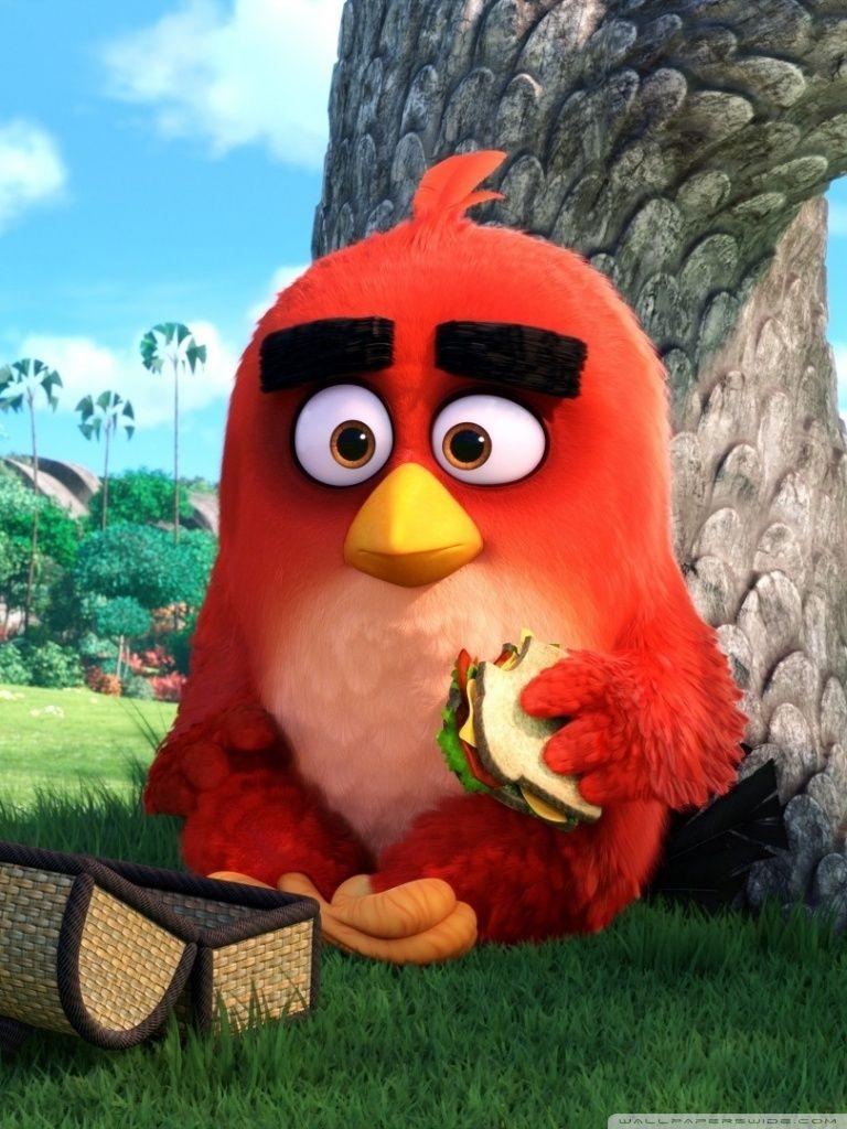 770x1030 Red Angry Birds Movie ❤ 4K HD Desktop Wallpaper for 4K Ultra HD TV, Phone