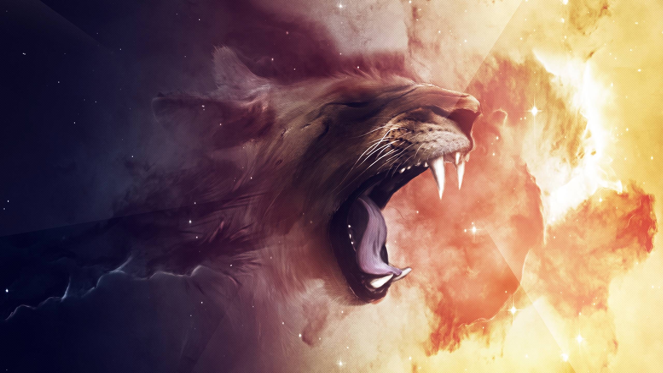 2560x1440 Lion Computer Wallpaper, Desktop Background  Id: 323327, Desktop