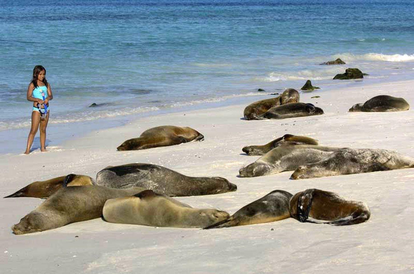 1460x970 Galapagos Islands Cruises, Desktop