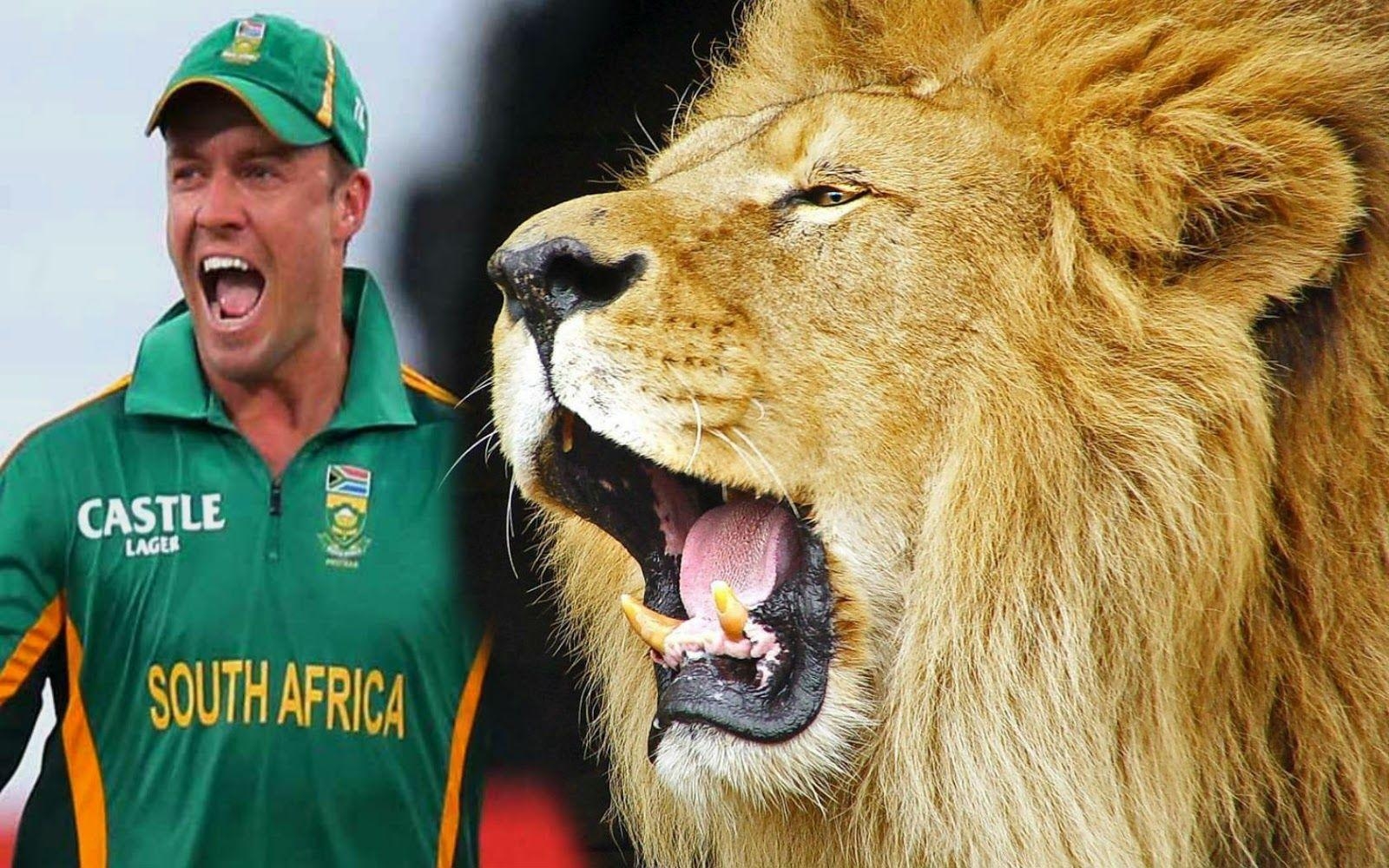 1600x1000 Latest AB De Villiers HD Wallpaper And Image Free Download, Desktop