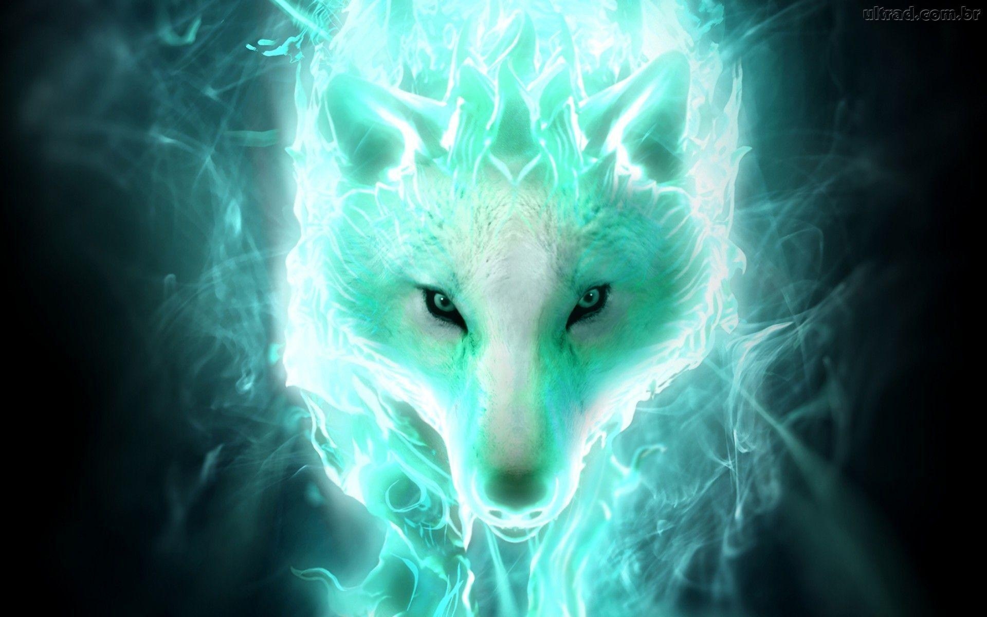 1920x1200 Fire Wolf Wallpaper, Desktop