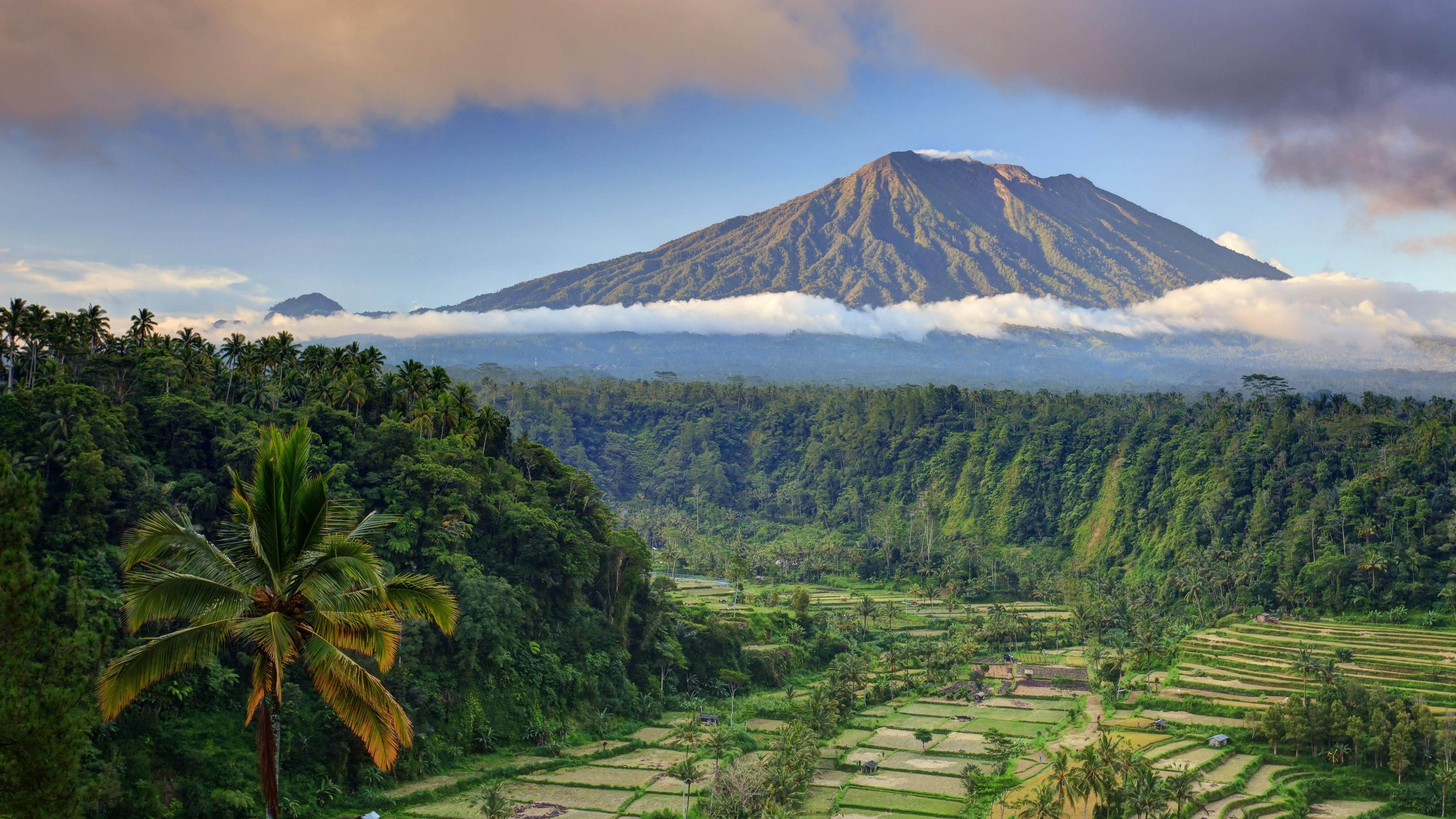 5120x2880 Wallpaper Bali, palms, trees, field, mountain, clouds, 5k, Nature, Desktop