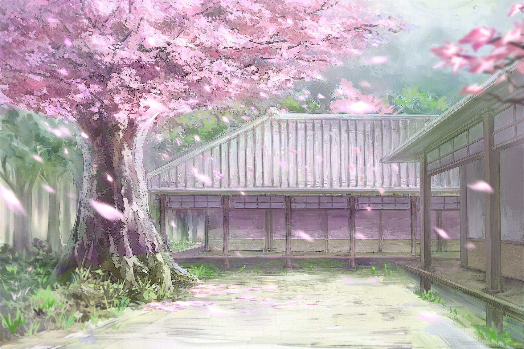 1700x1140 Cherry Blossoms Anime Scenery Wallpaper Free Cherry, Desktop