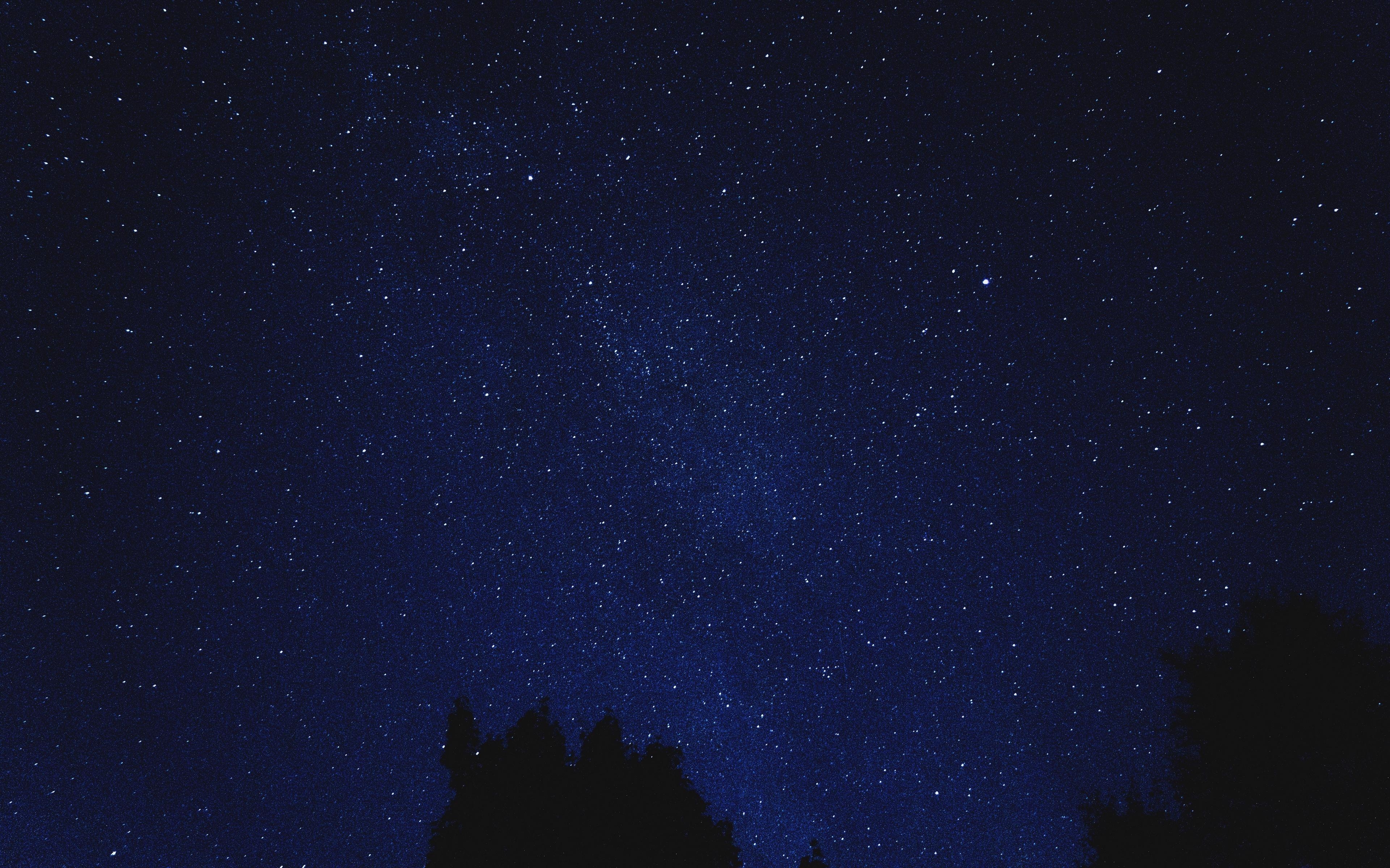 3840x2400 Download wallpaper  starry sky, shine, night, blue 4k, Desktop