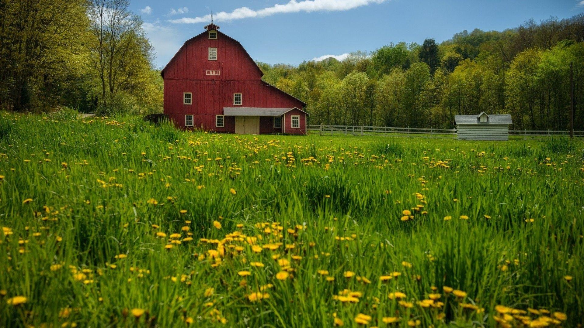 1920x1080 Landscapes: Albany New Pennsylvania Nature Wallpaper For Tab, Desktop