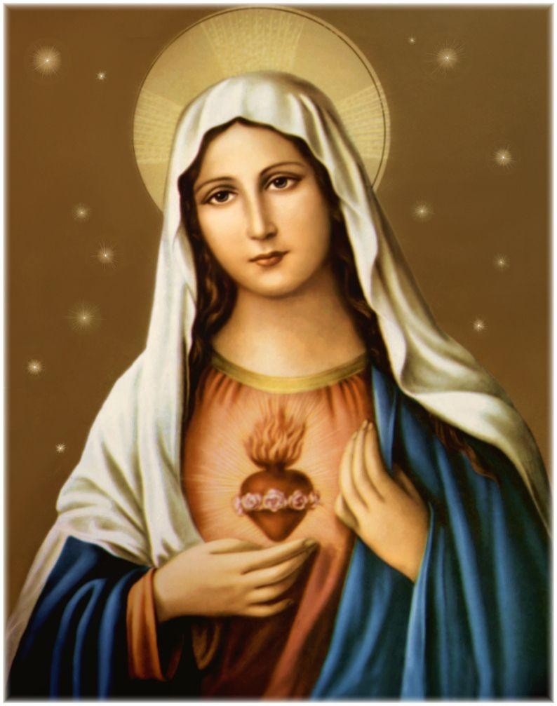 800x1010 Mary wallpaper, Religious, HQ Mary pictureK Wallpaper, Phone