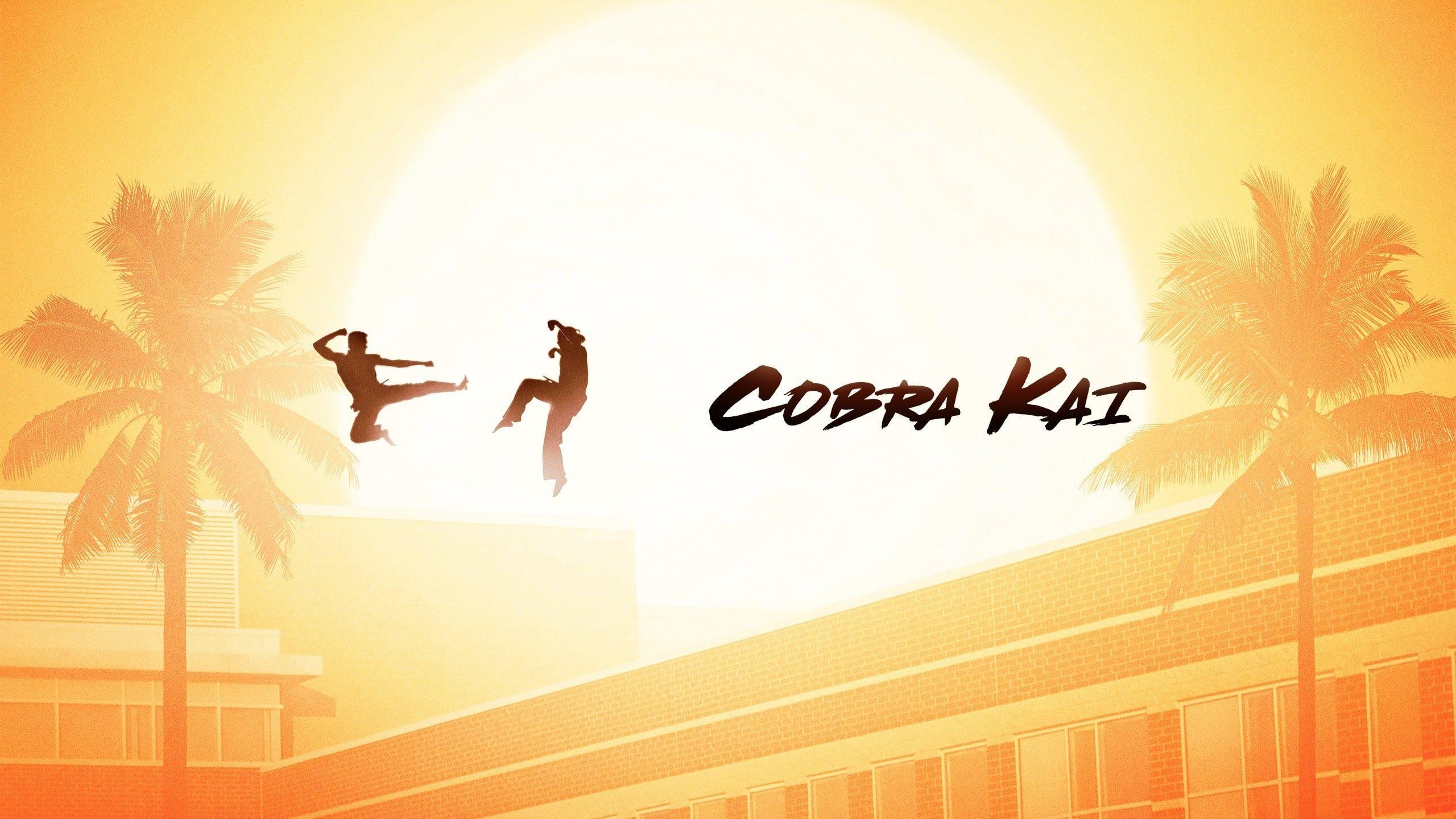 2560x1440 Cobra Kai (2018), Desktop