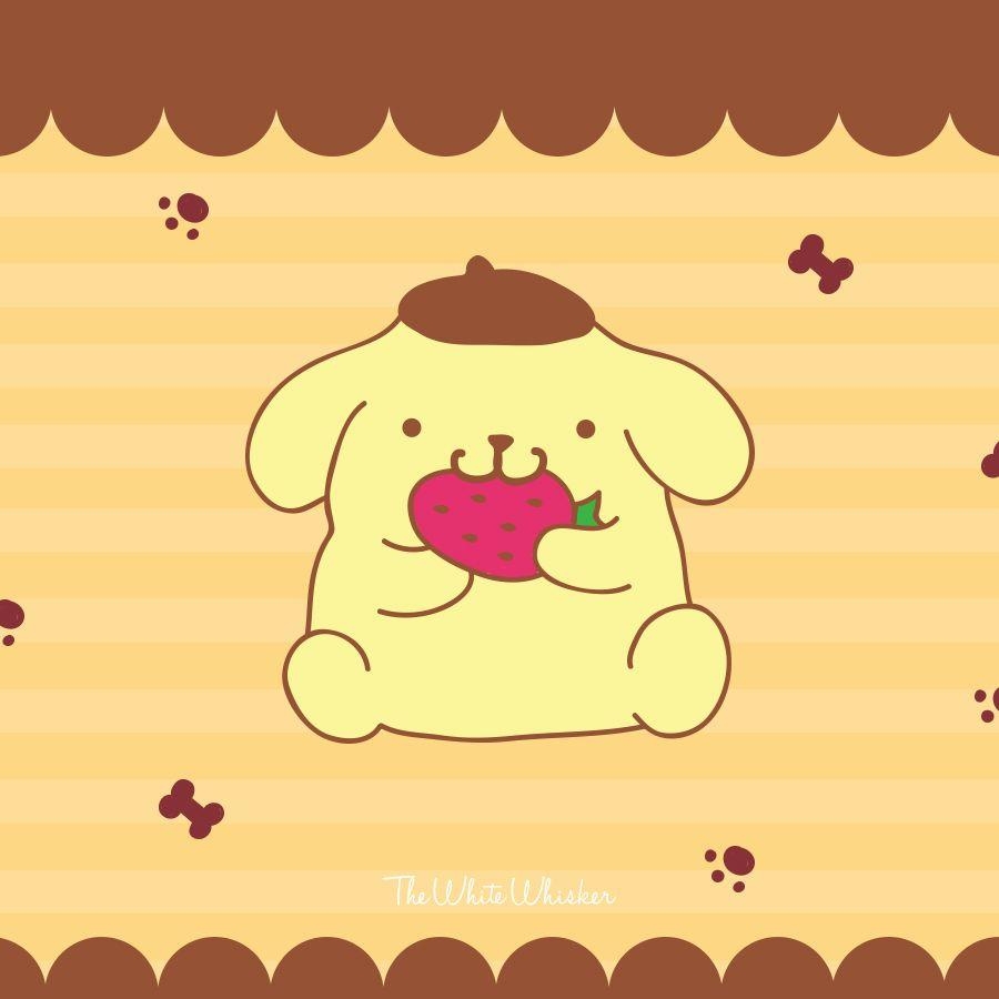 900x900 Sanrio Pompompurin Phone And Tablet Wallpaper, Phone