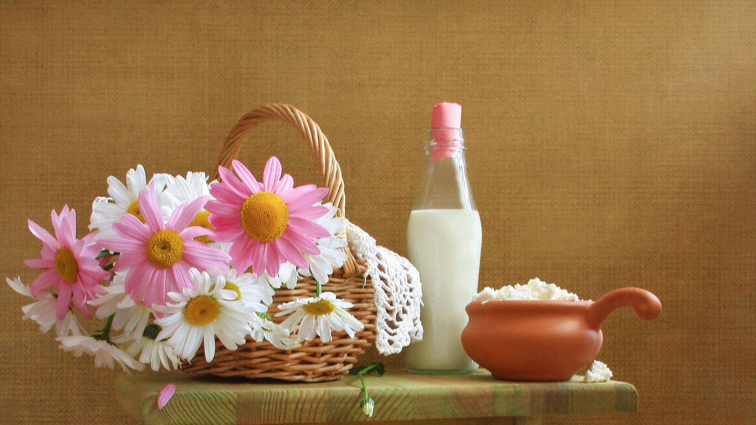 2560x1440 Still Life Background, Desktop