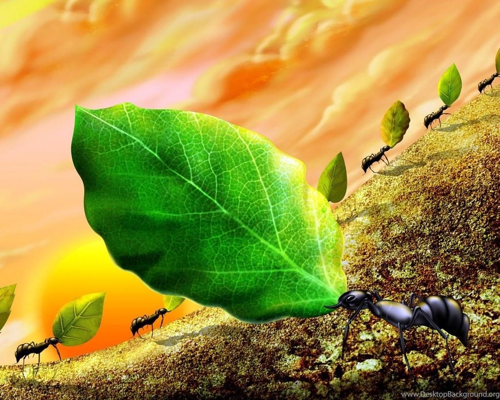 1030x820 Ant Wallpaper Tag Desktop Background, Desktop