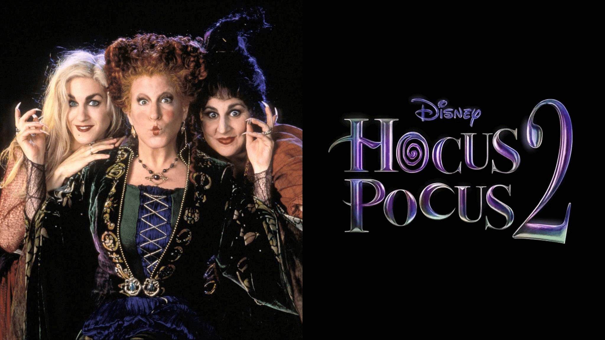 2050x1160 New Story Details for 'Hocus Pocus 2' Revealed, Desktop