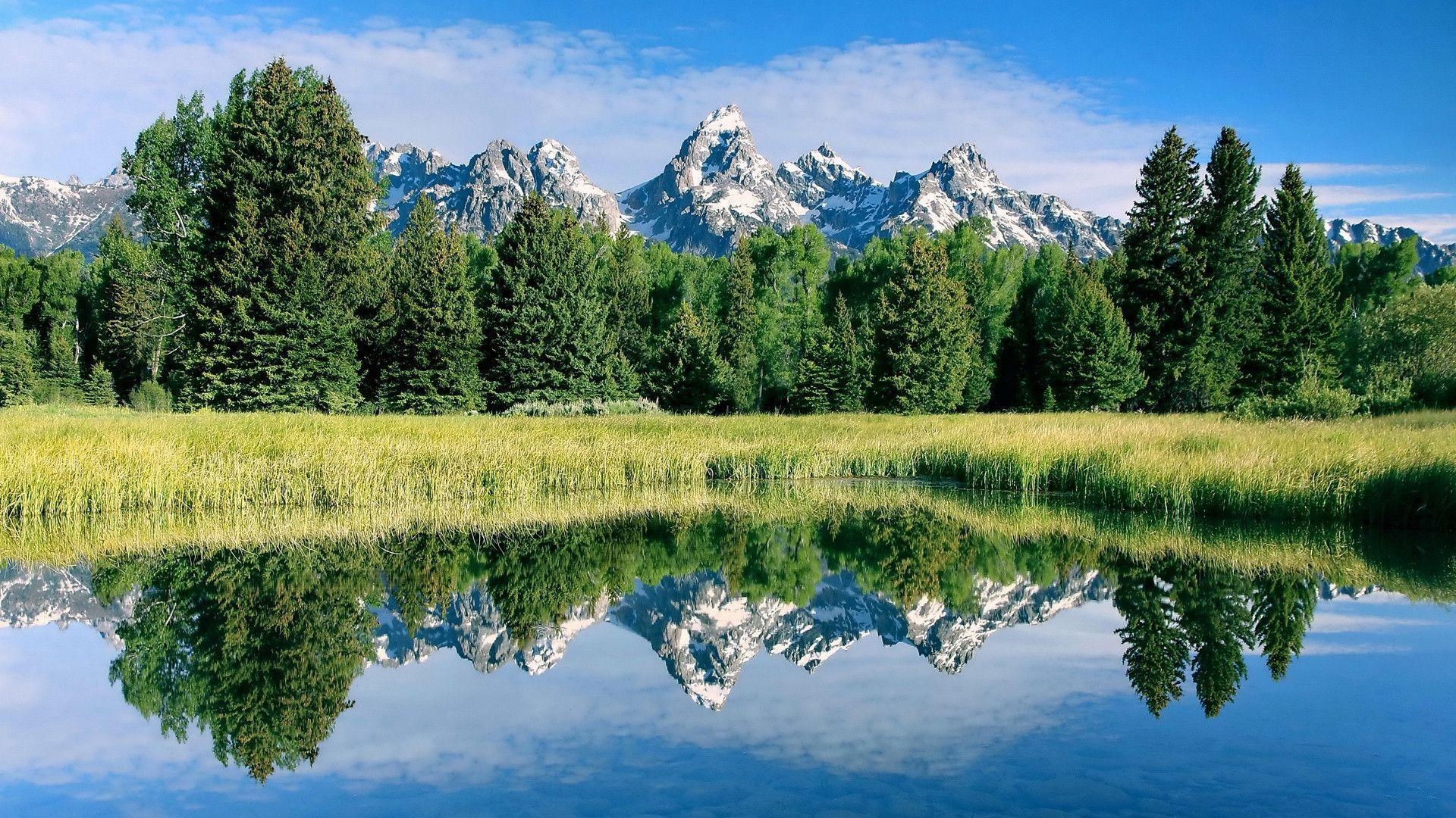 1920x1080 Stunning scenery, mountains, lake, plants, trees, water reflection, Desktop