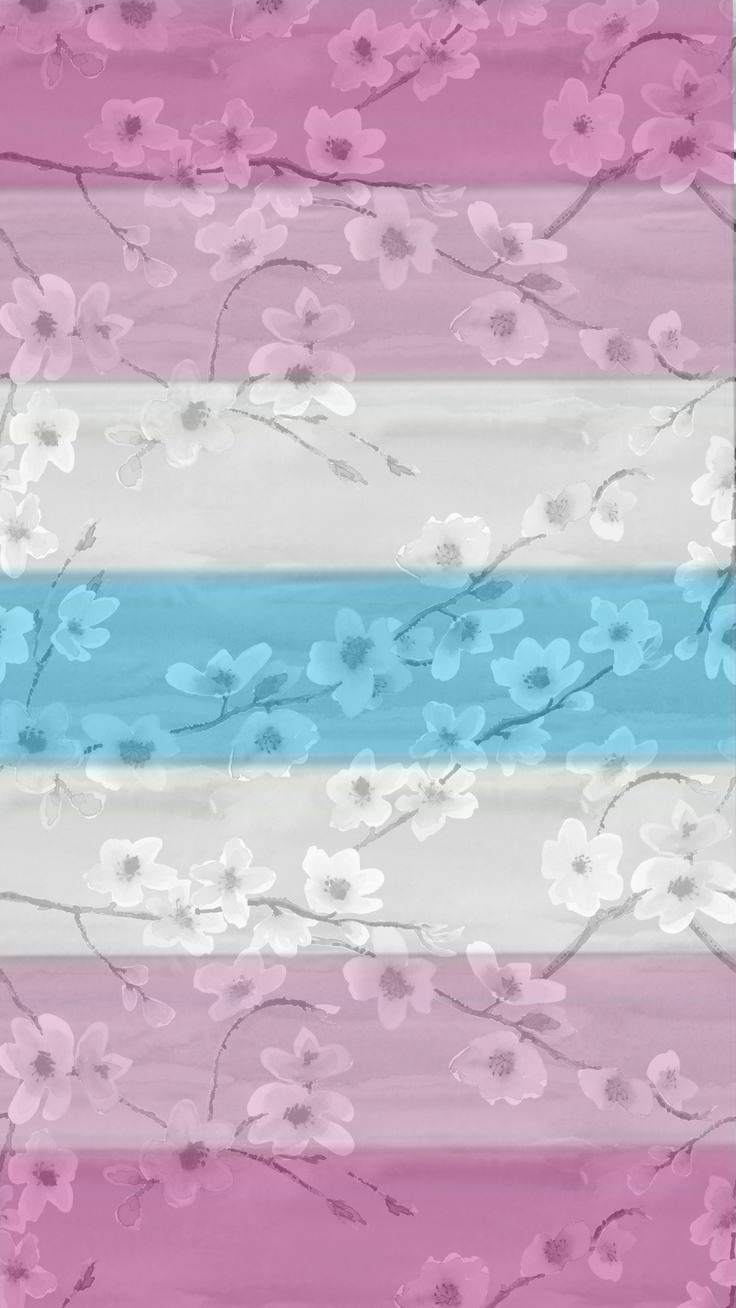 740x1310 Femboy flag wallpaper, Phone