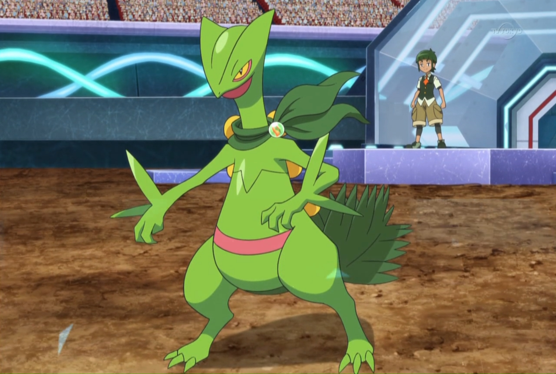 1920x1300 Sawyer's Sceptile. Pokémon, Desktop