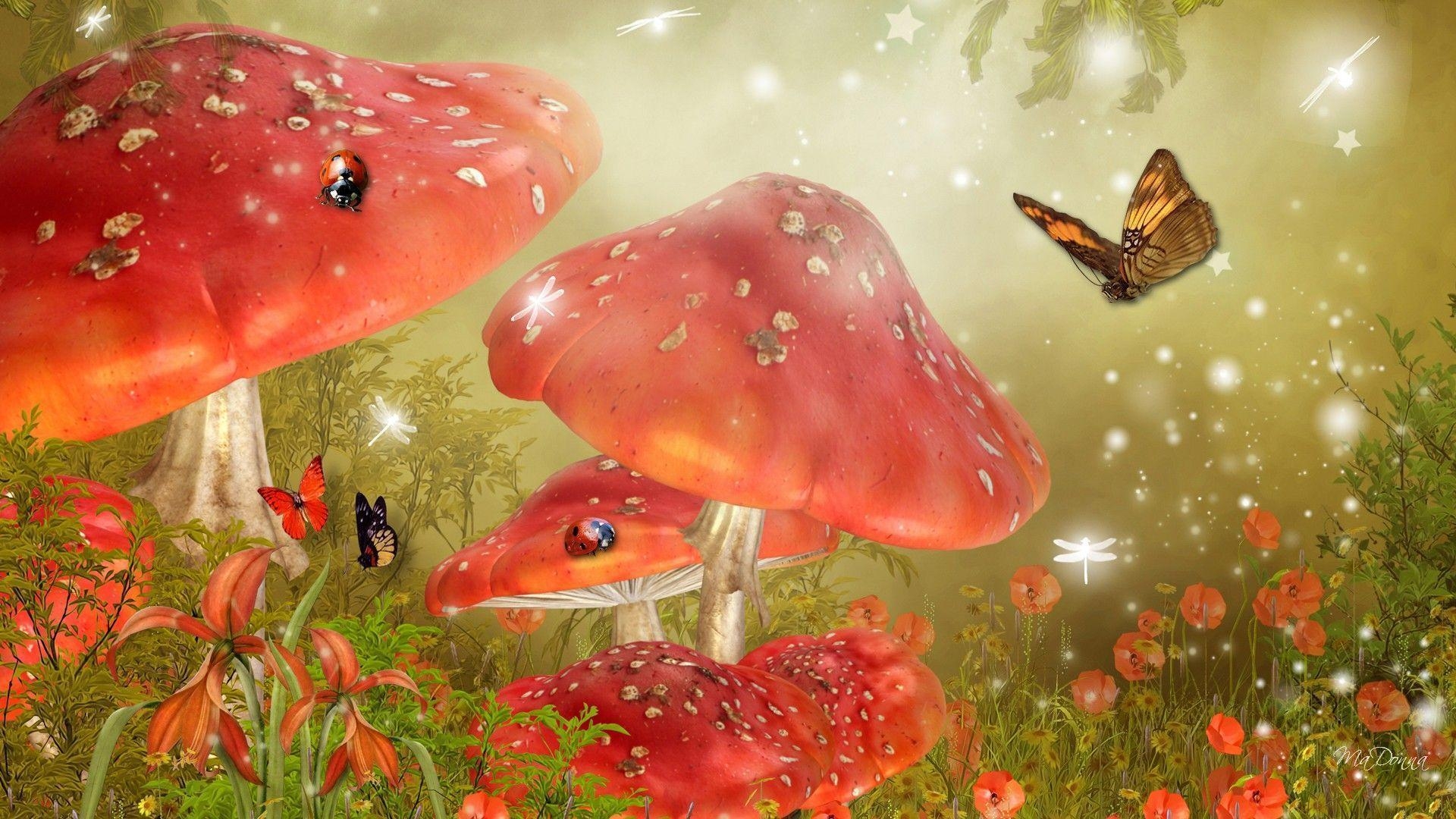 1920x1080 Mystical Background. HD Mystical Mushrooms Wallpaper. Fairies, Desktop