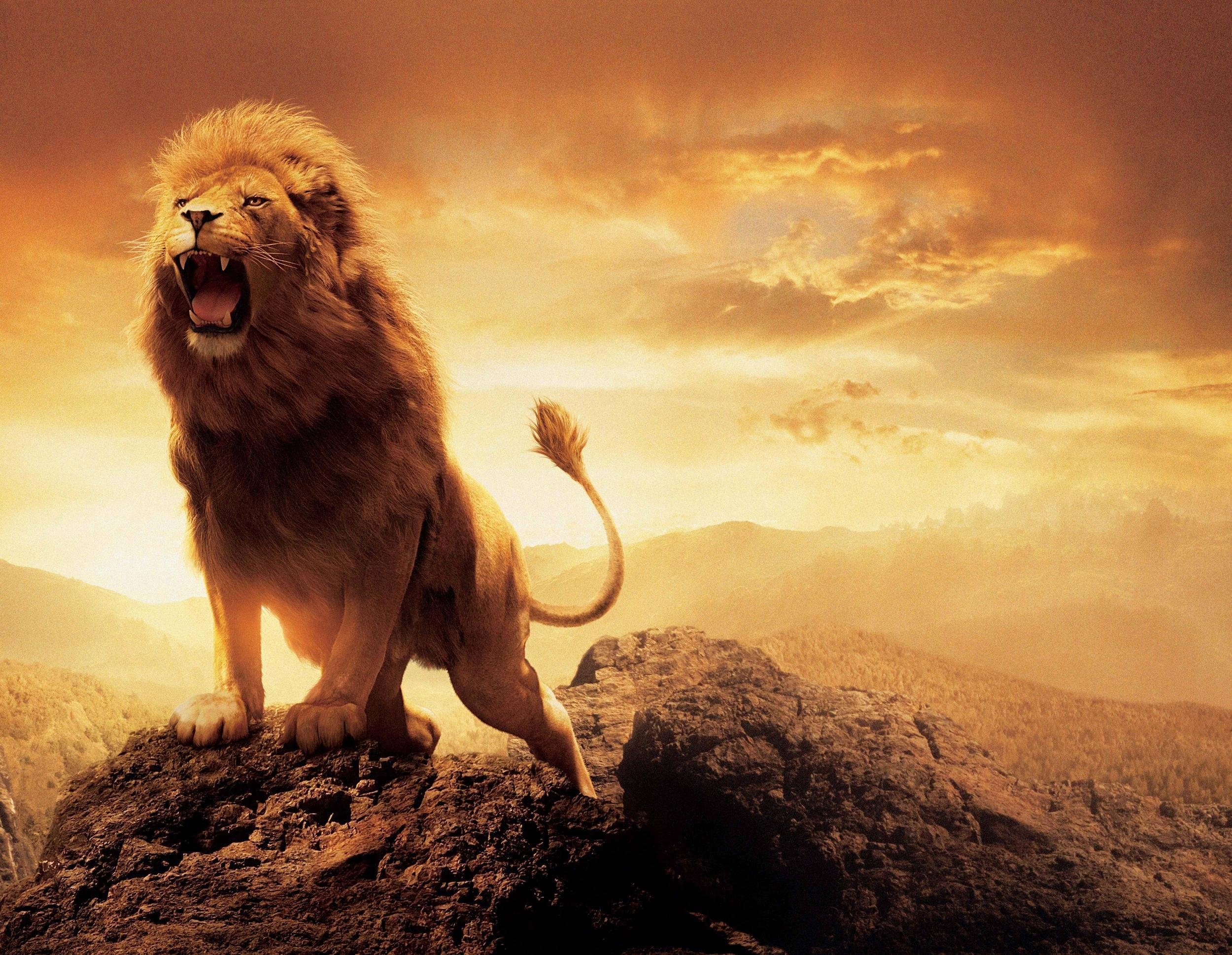 2500x1940 image For > Narnia Aslan Wallpaper, Desktop