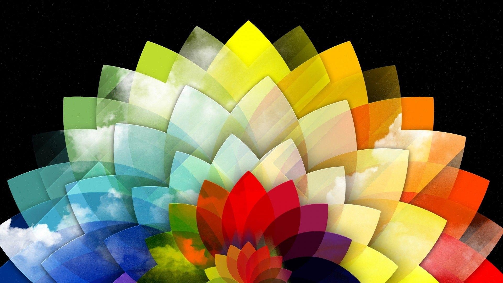 1920x1080 Multi Color Flower HD Wallpaper p wallpaper download, Desktop