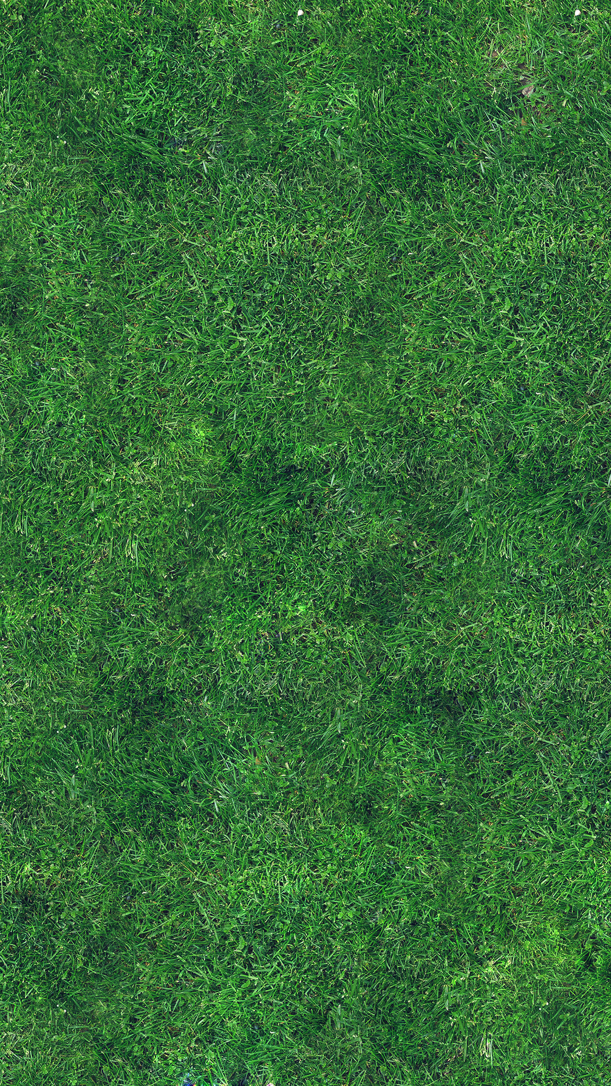 1250x2210 grass texture nature pattern, Phone