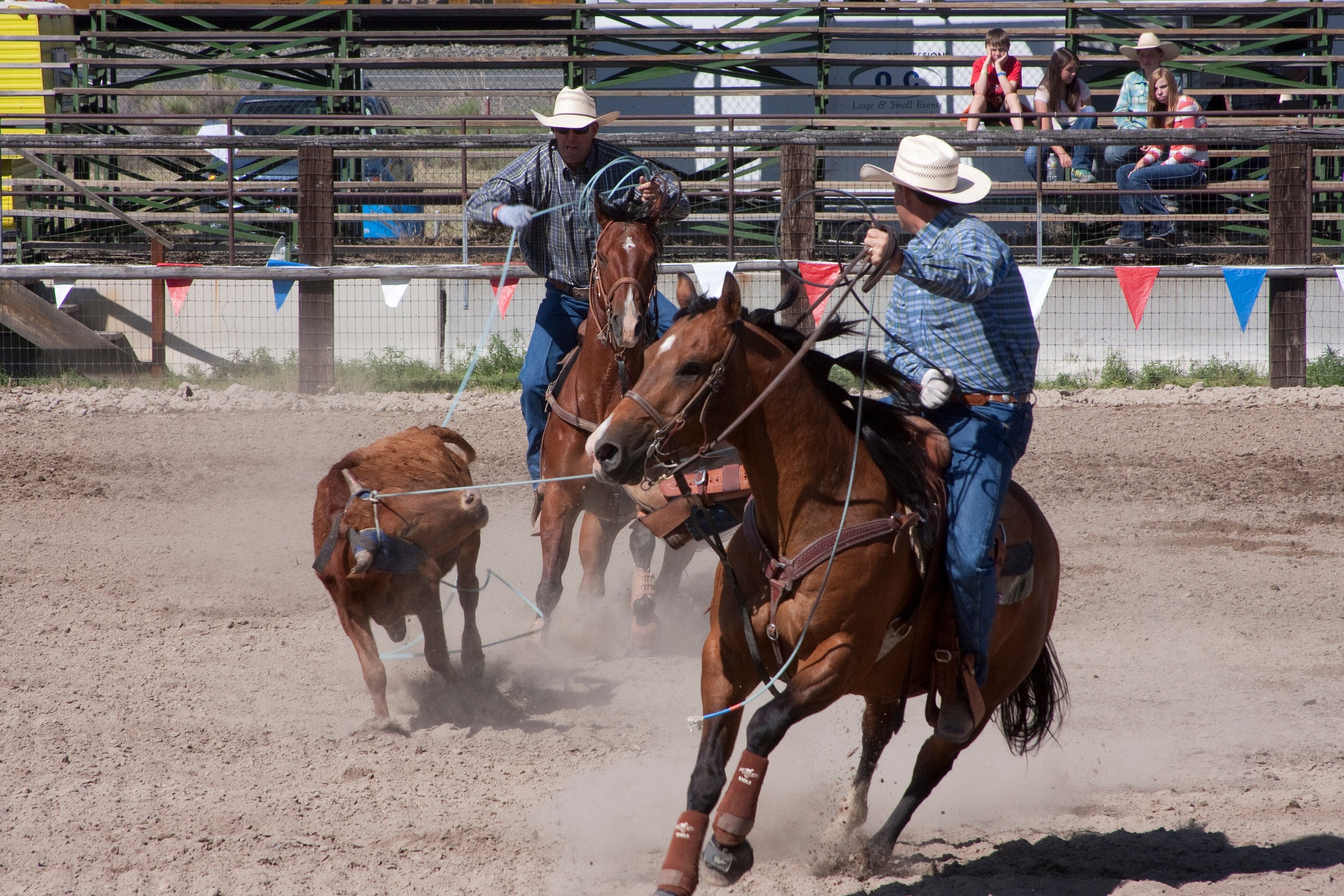 3000x2000 Header / Healer Team Roping photo Digital Download Wall, Desktop