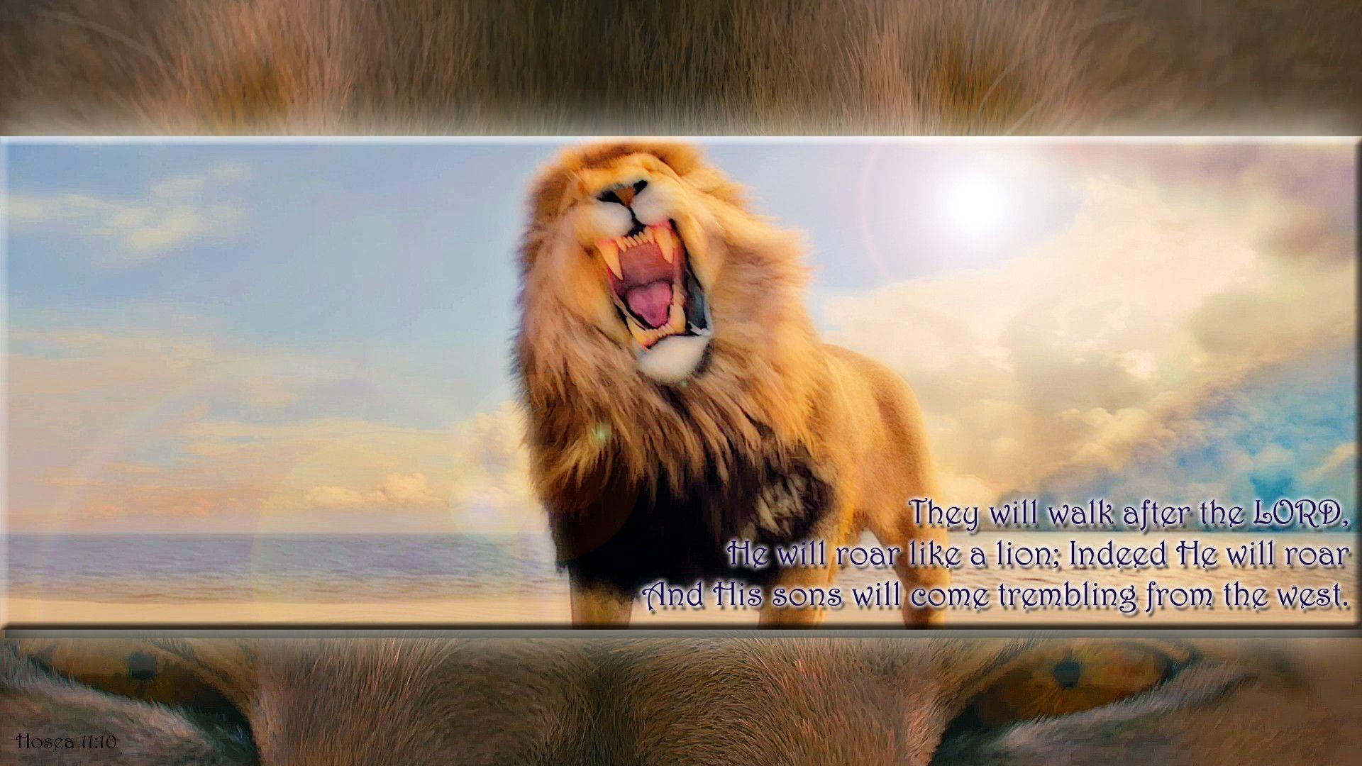 1920x1080 NarniaWeb Community Forums • View topic - "He will roar like a, Desktop