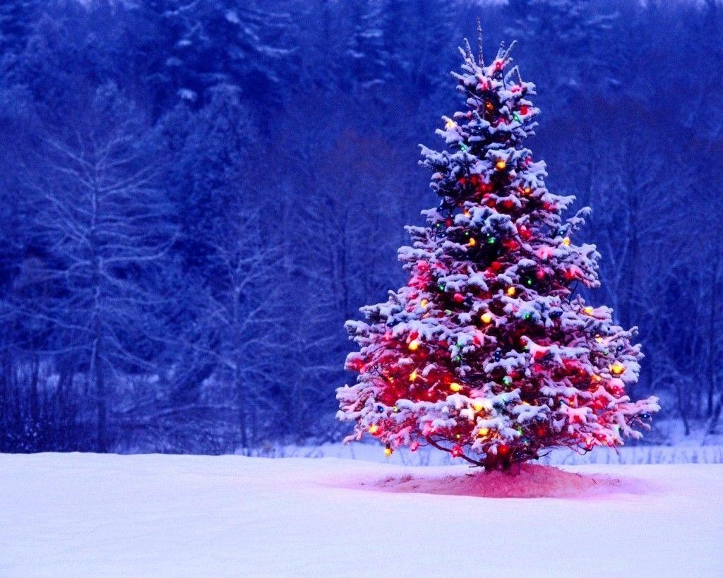 1030x820 Public christmas trees wallpaper Wallpaper Pic, Desktop