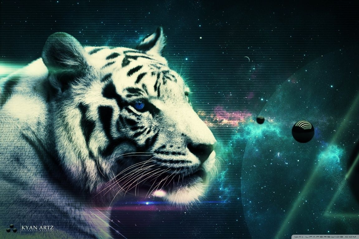 1160x770 White Tiger Ultra HD Desktop Background Wallpaper for 4K UHD TV, Tablet, Desktop