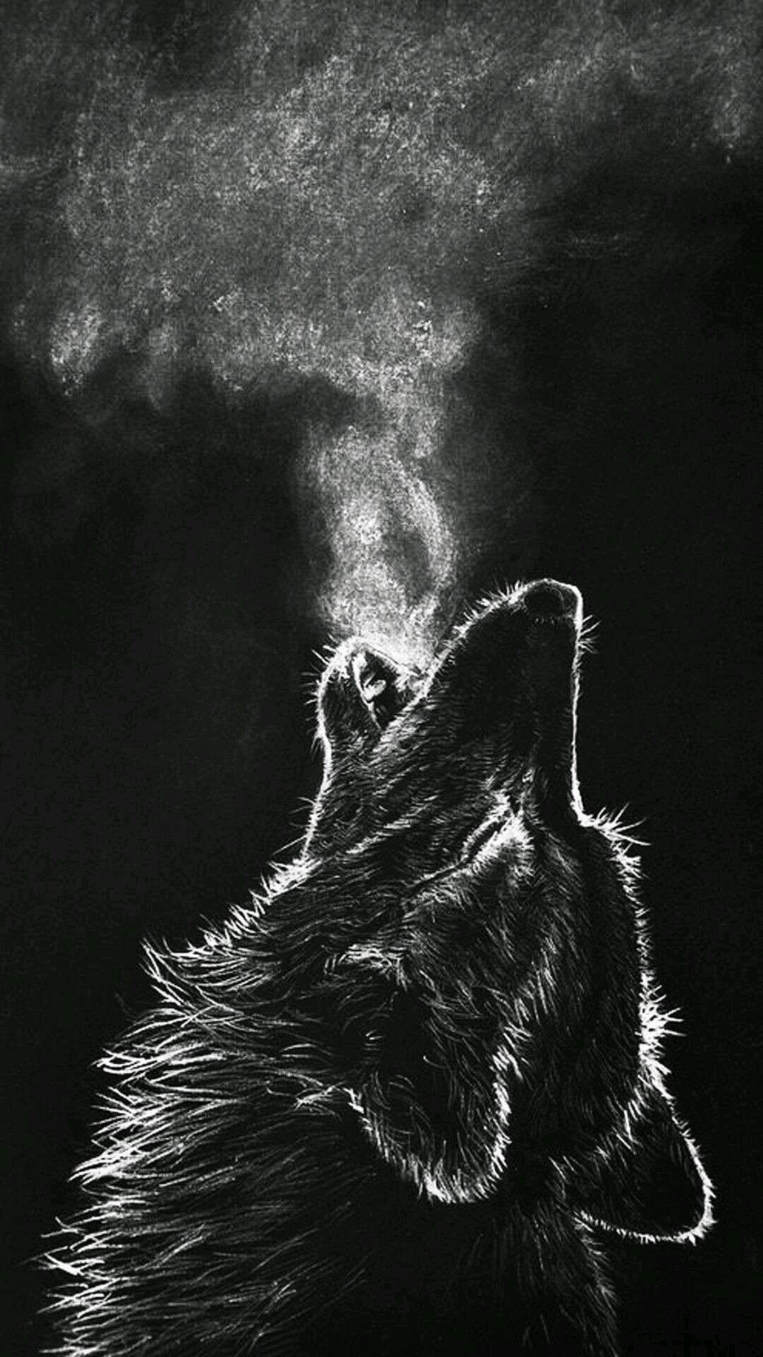 1080x1920 Black wolf Wallpaper Download, Phone