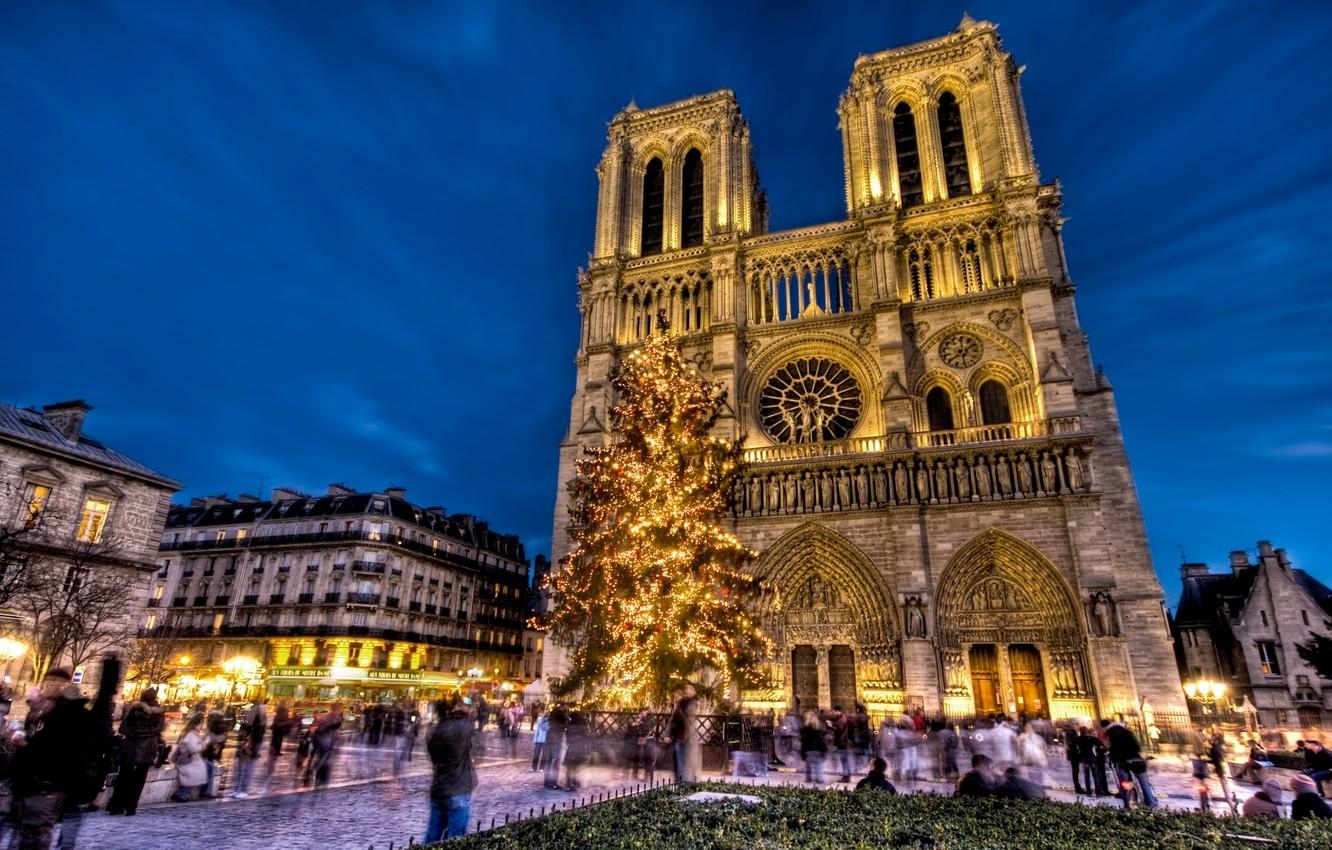 1340x850 Wallpaper holiday, France, Paris, tree, New Year, area, Notre Dame, Desktop