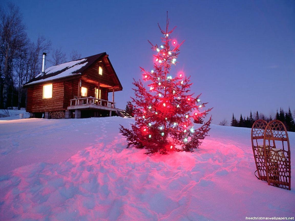 1160x870 Pink Christmas Tree, Desktop