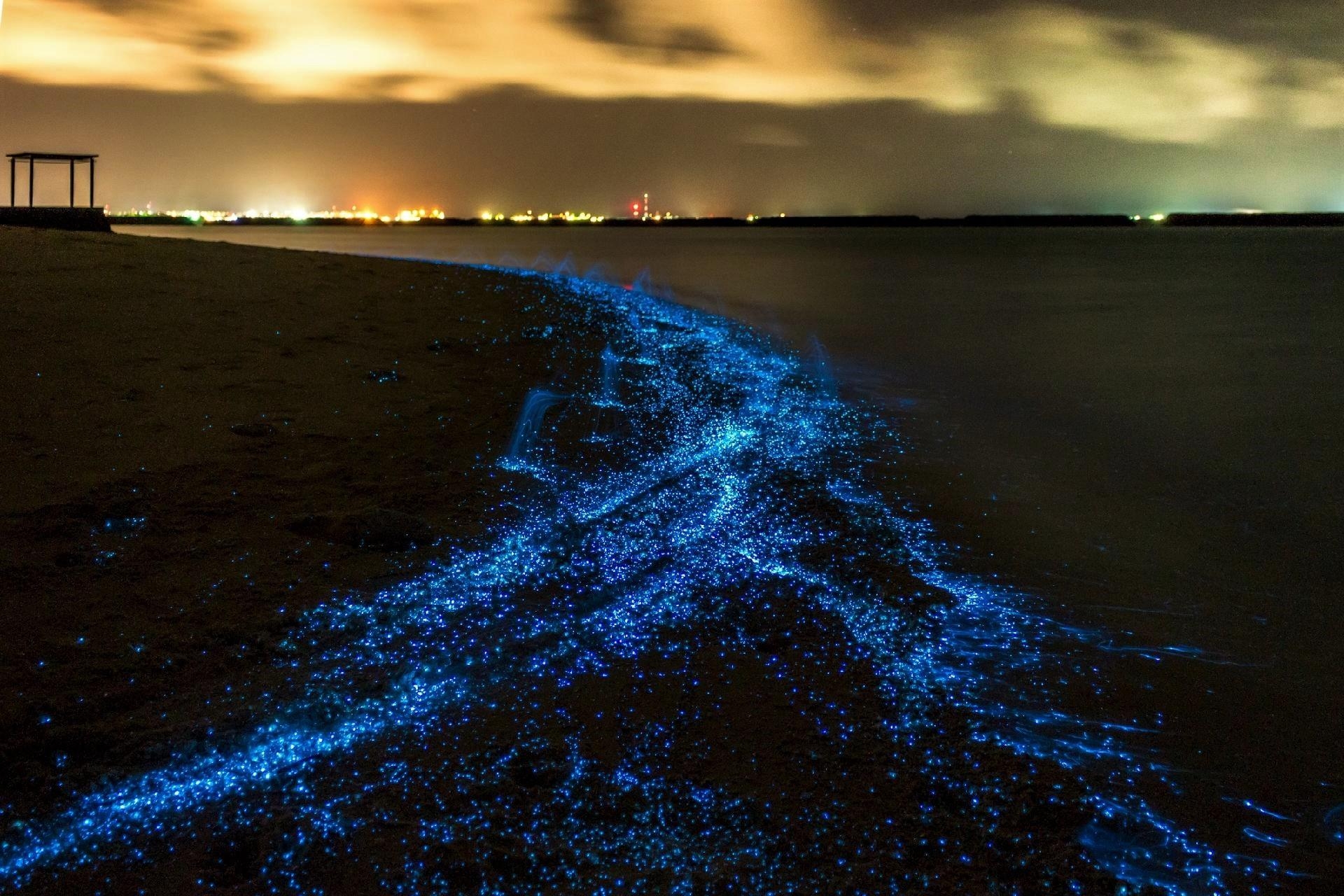 1920x1280 The Sea of Stars on Vaadhoo Island, Maldives, Desktop