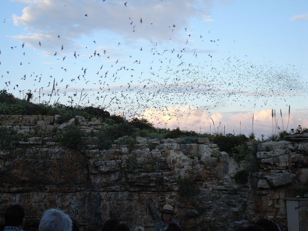 1030x770 Carlsbad Caverns National Park, Videos, and more!, Desktop